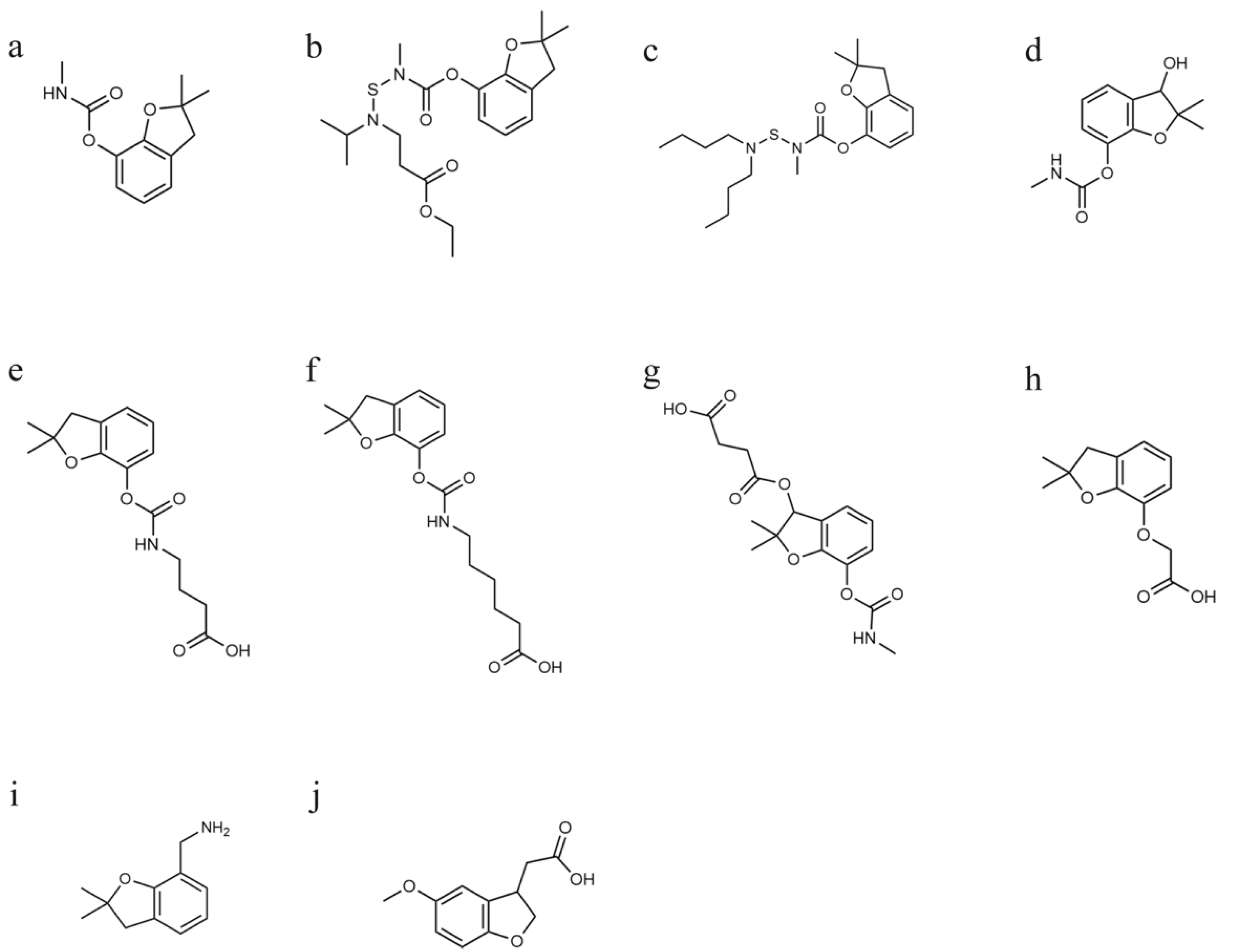 Biosensors 12 00560 g001
