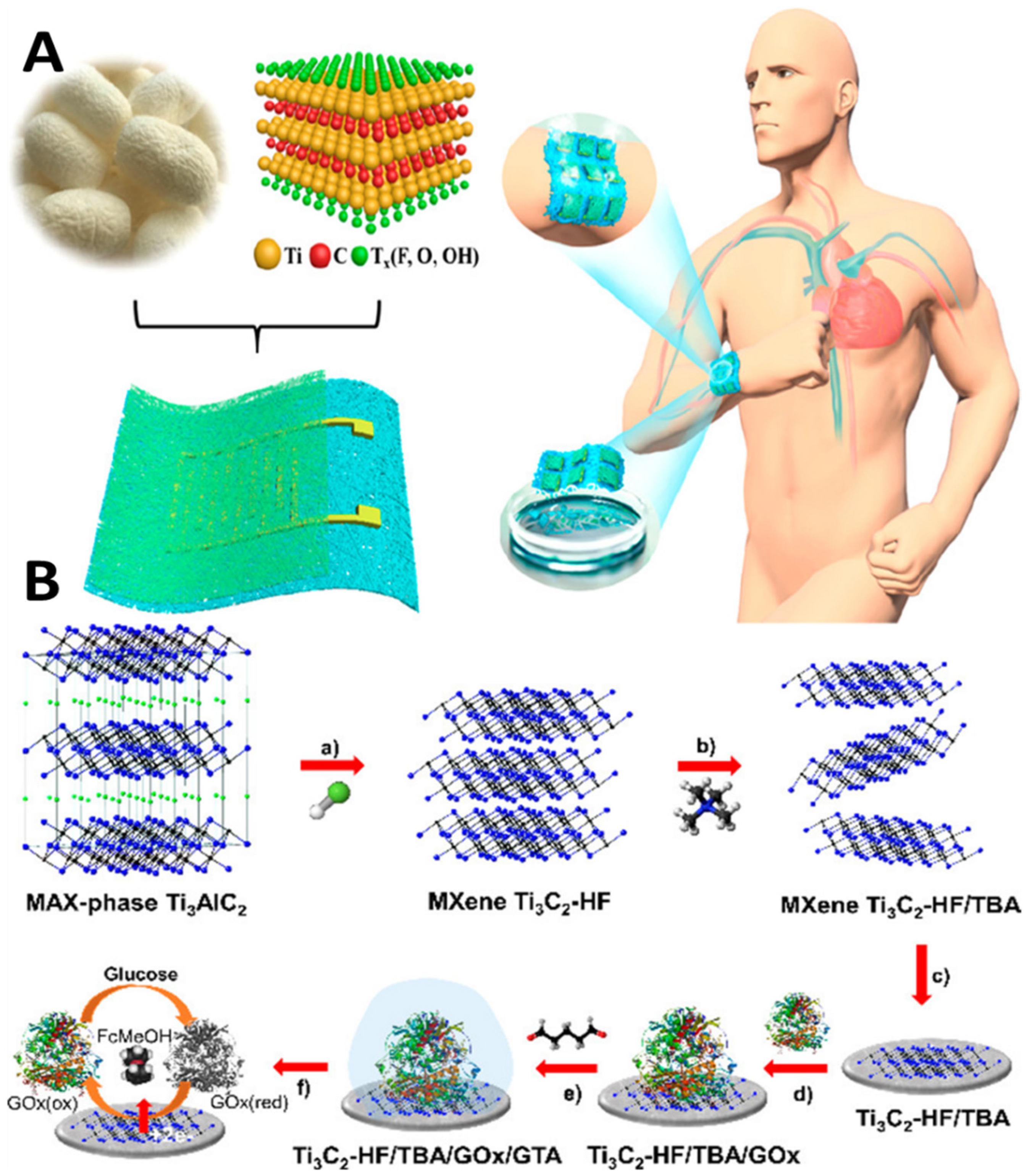 Biosensors 12 00562 g005