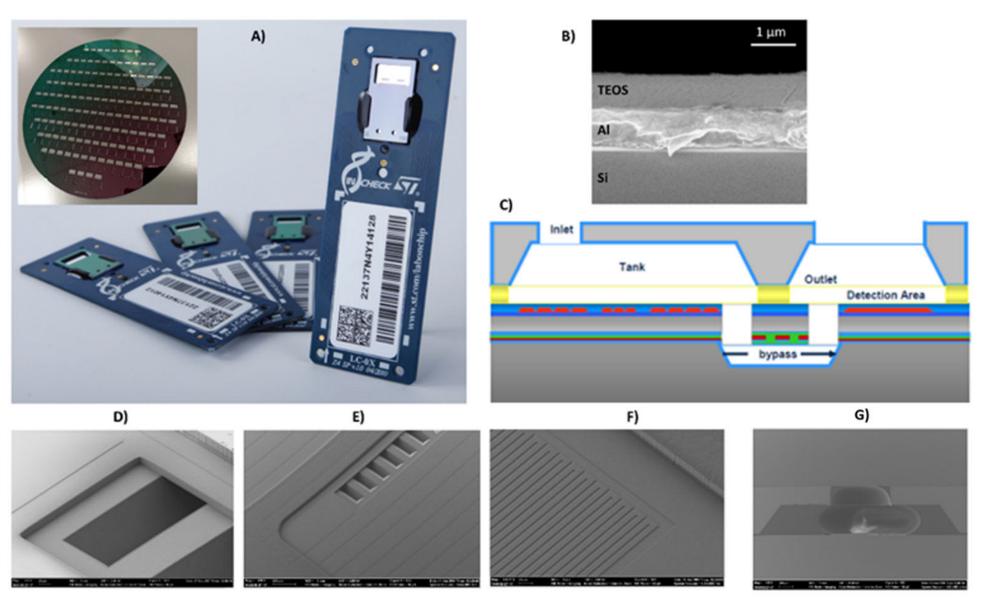 Biosensors 12 00563 g001 550