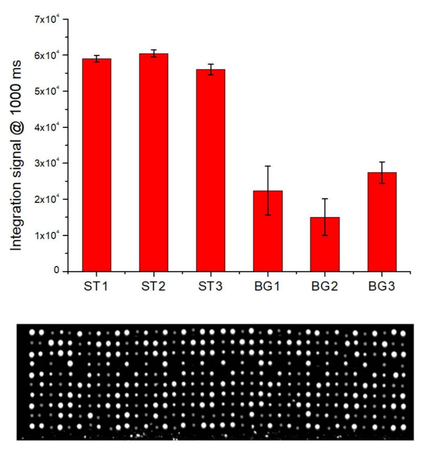 Biosensors 12 00563 g006 550