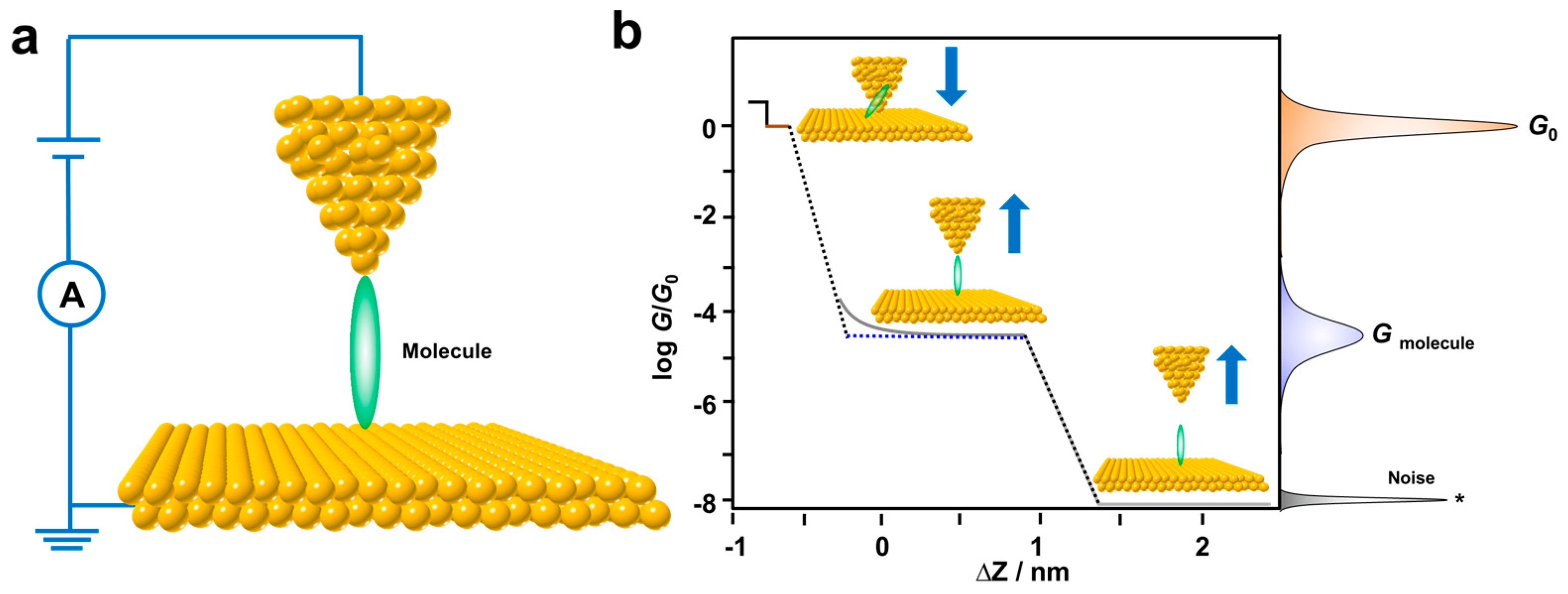 Biosensors | Free Full-Text | Recent Advances in Single-Molecule 