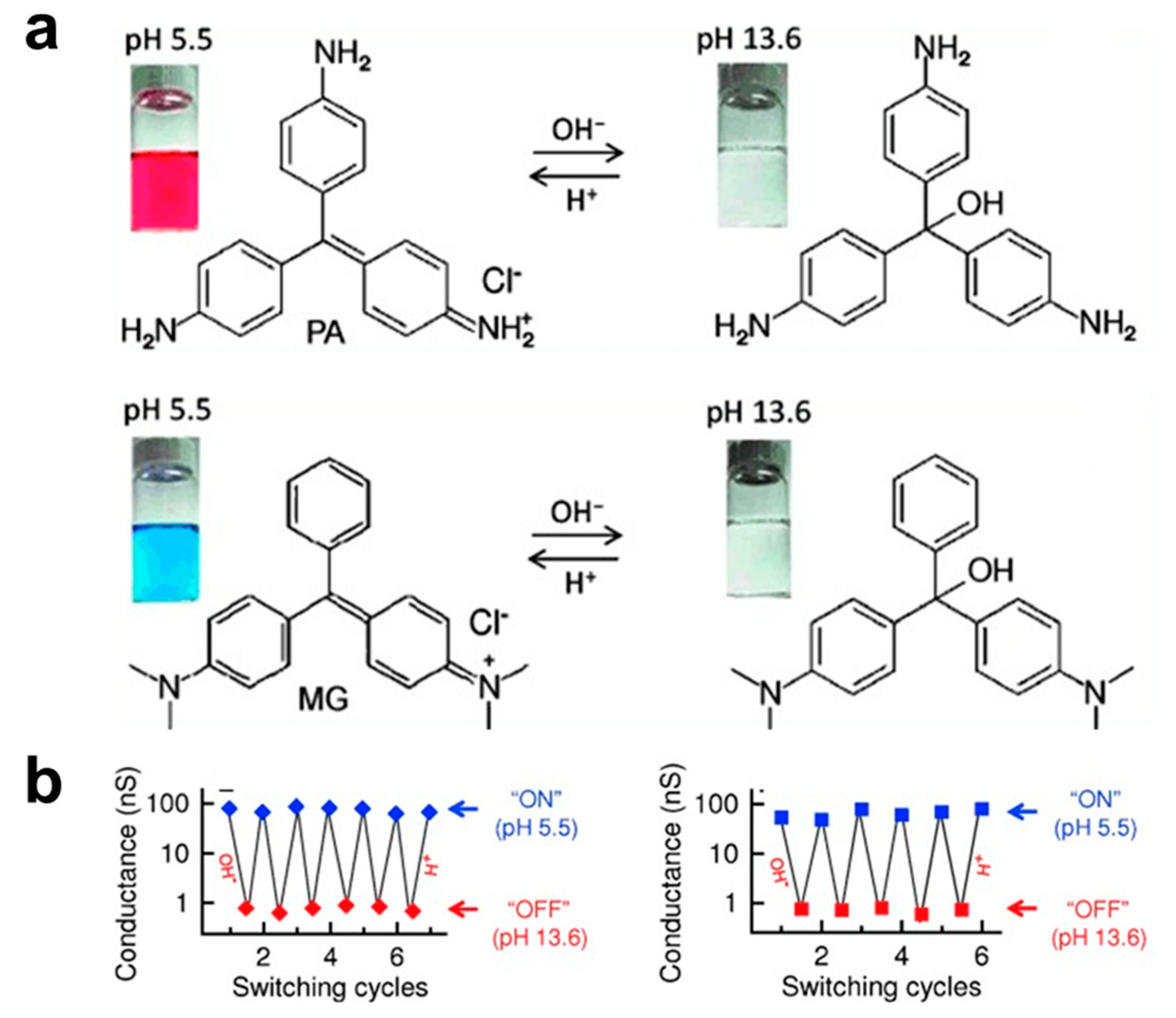 Biosensors 12 00565 g002