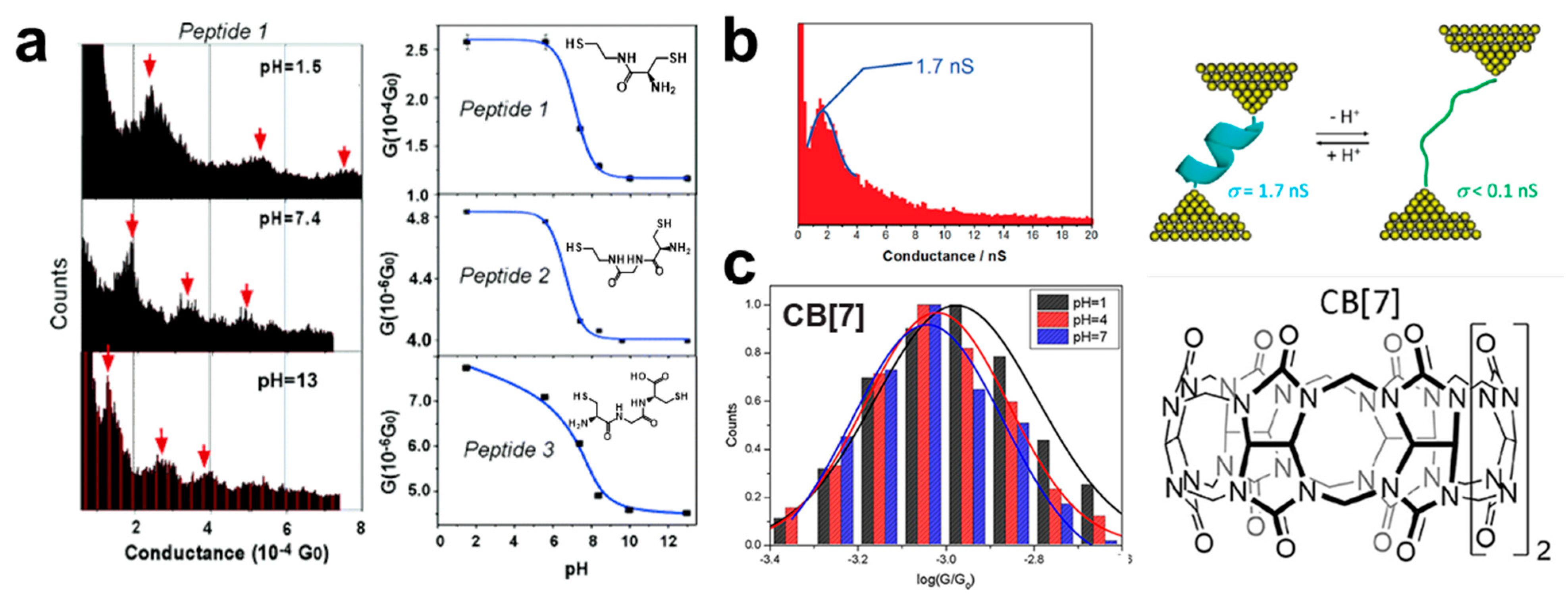 Biosensors 12 00565 g003