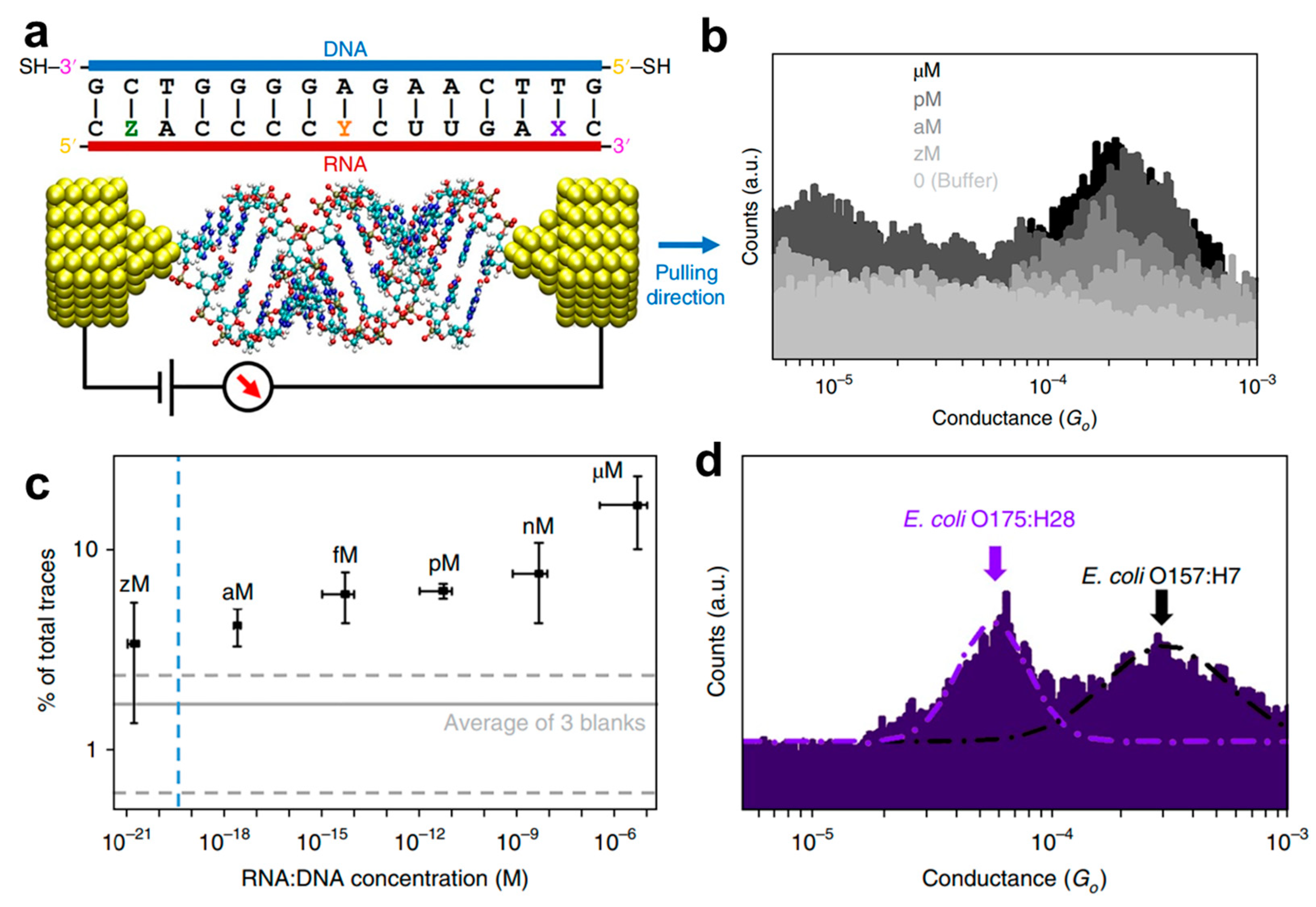 Biosensors 12 00565 g012