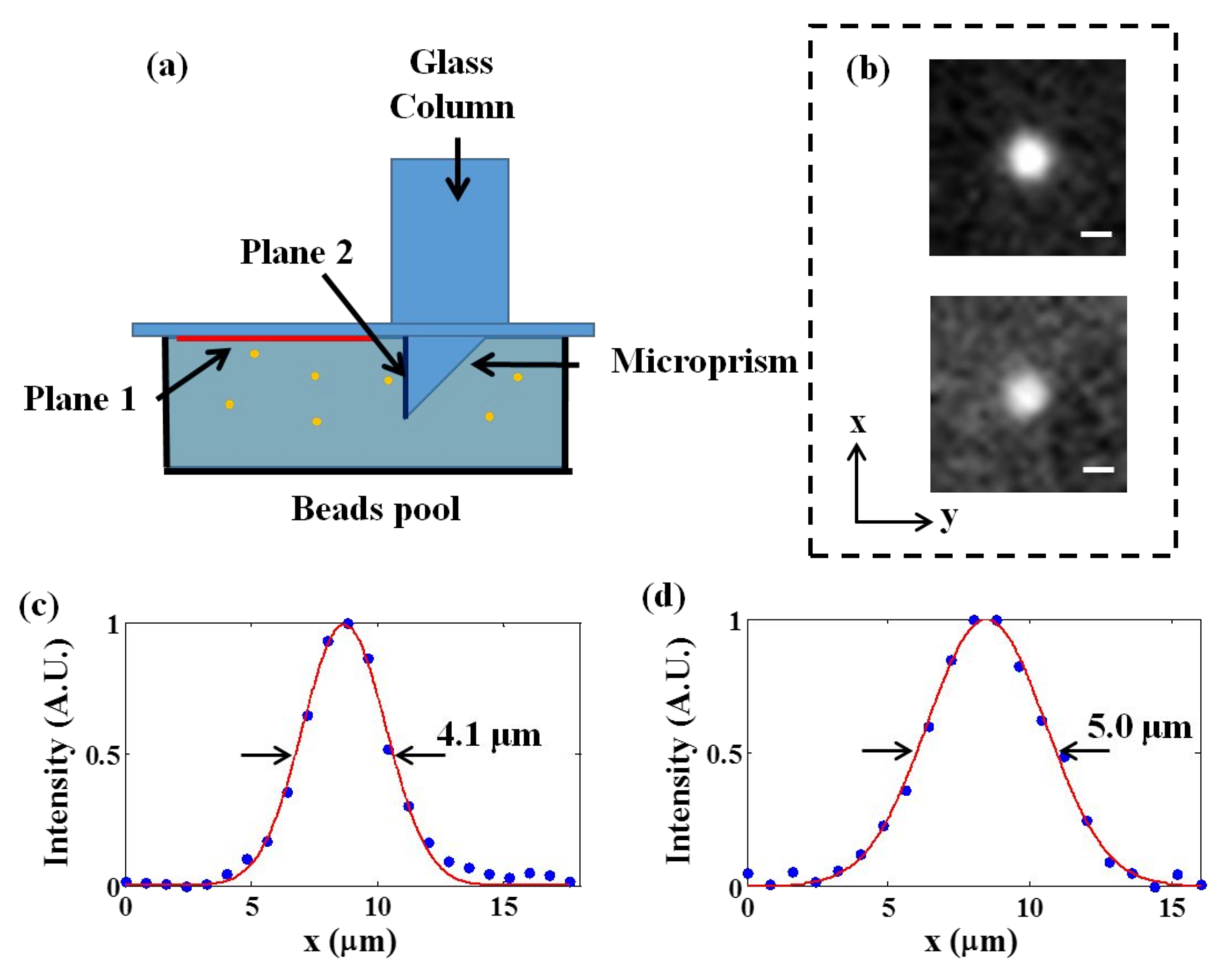 Biosensors 12 00567 g002 550