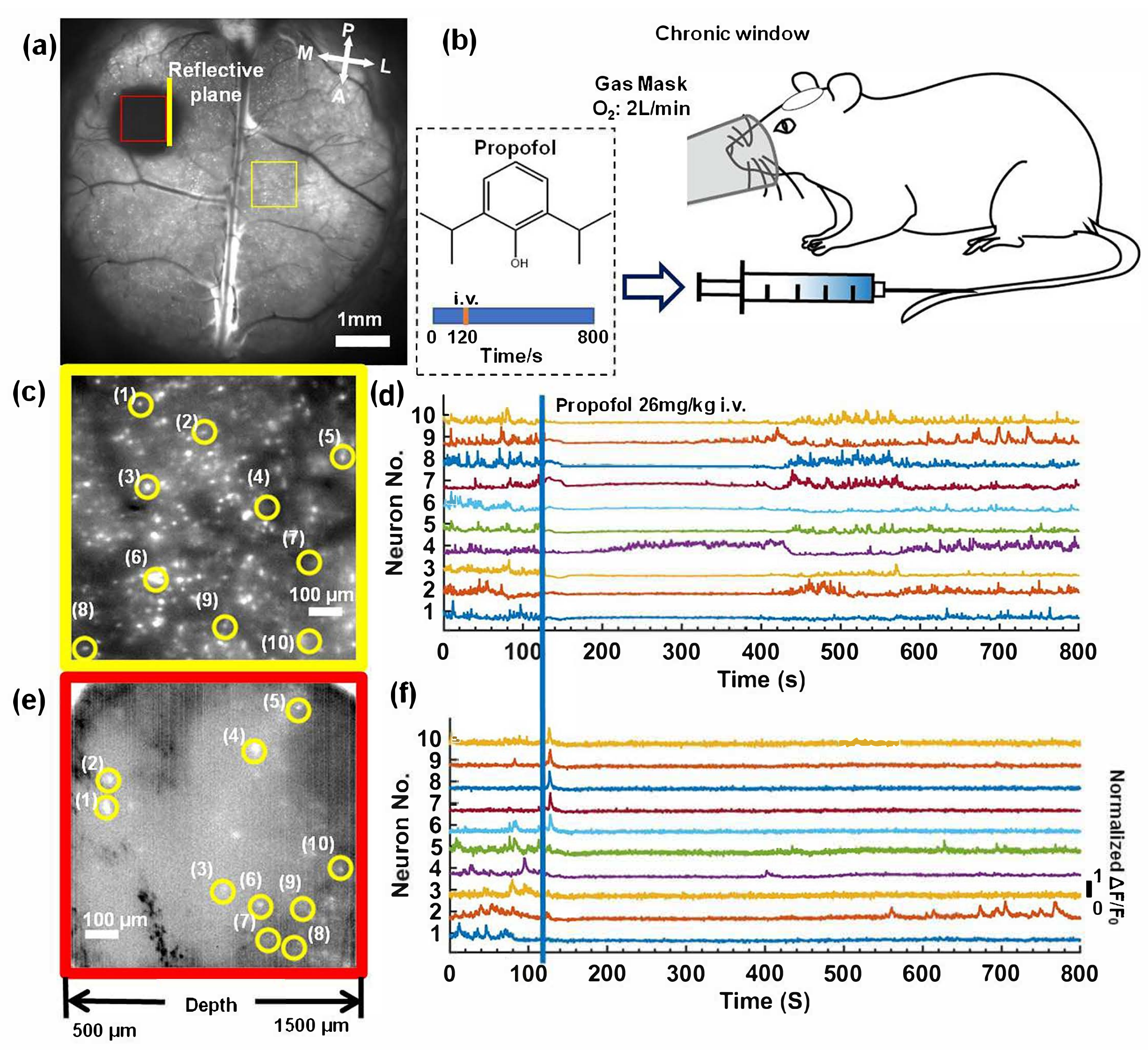 Biosensors 12 00567 g006 550