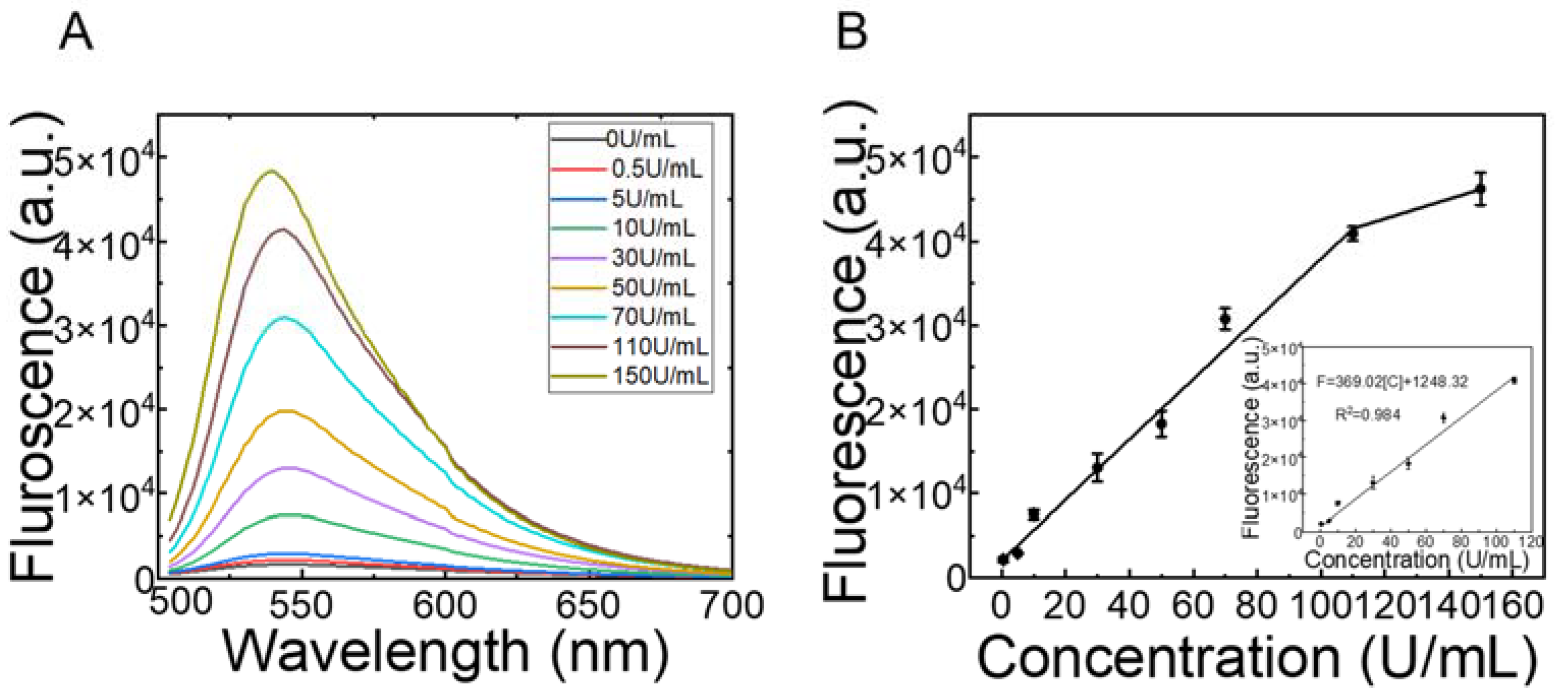 Biosensors 12 00569 g003