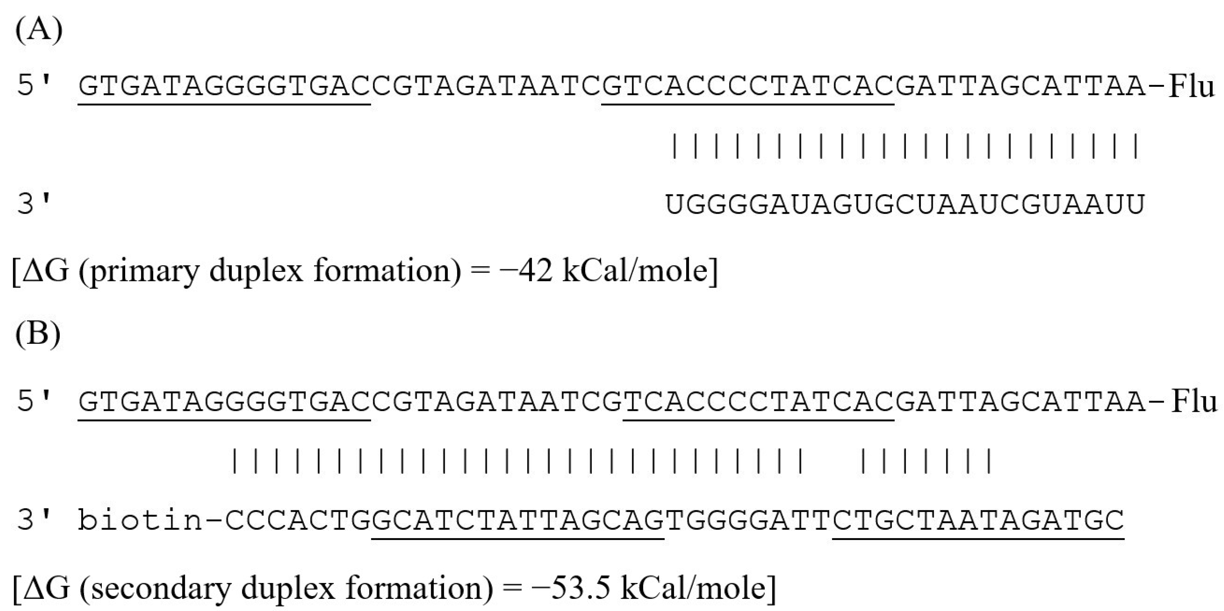 Biosensors 12 00570 g003