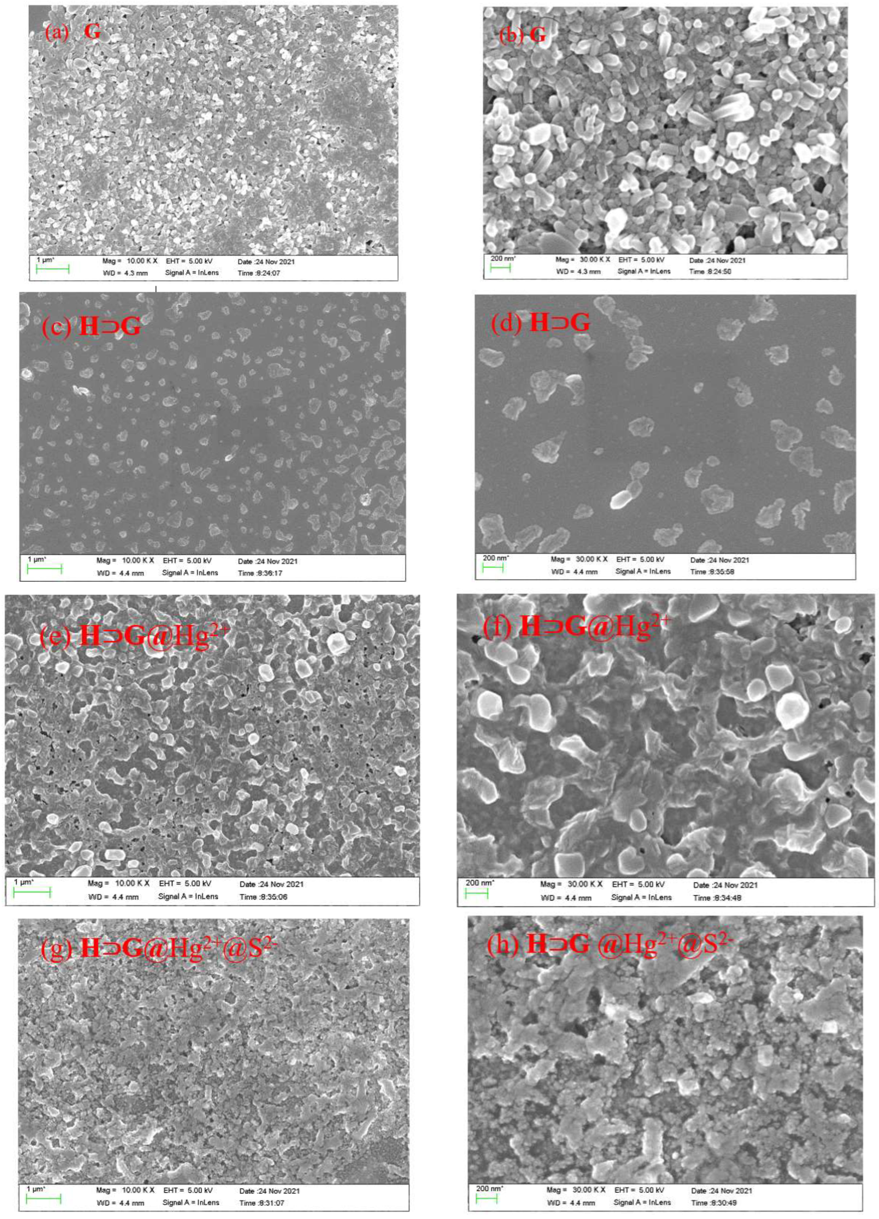 Biosensors 12 00571 g002