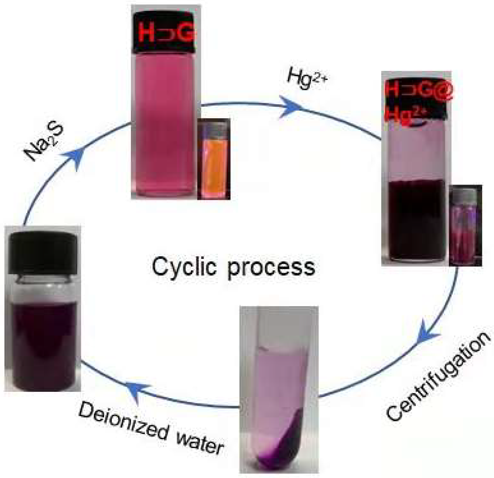 Biosensors 12 00571 g008