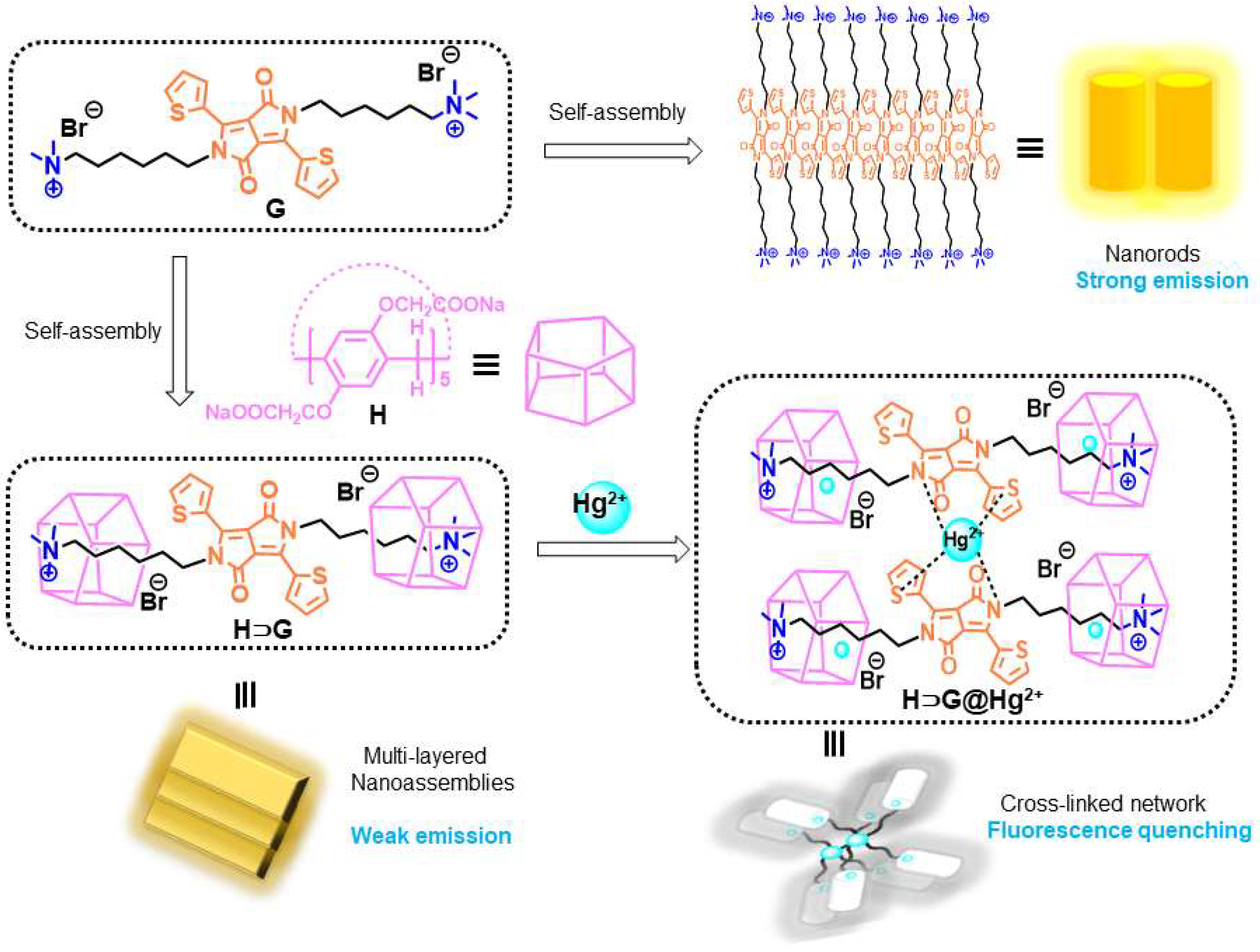 Biosensors 12 00571 sch002