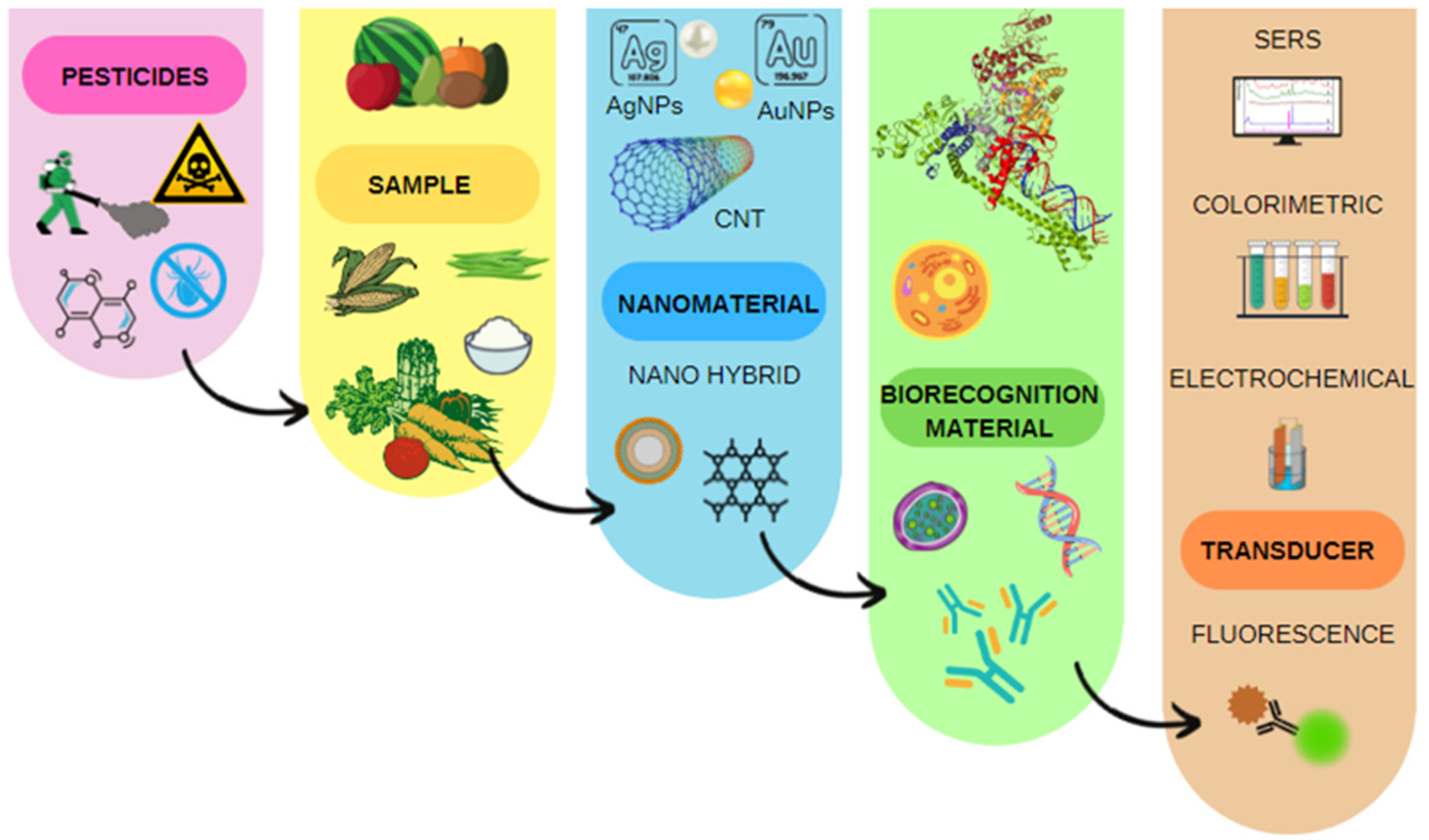 Biosensors 12 00572 g002 550