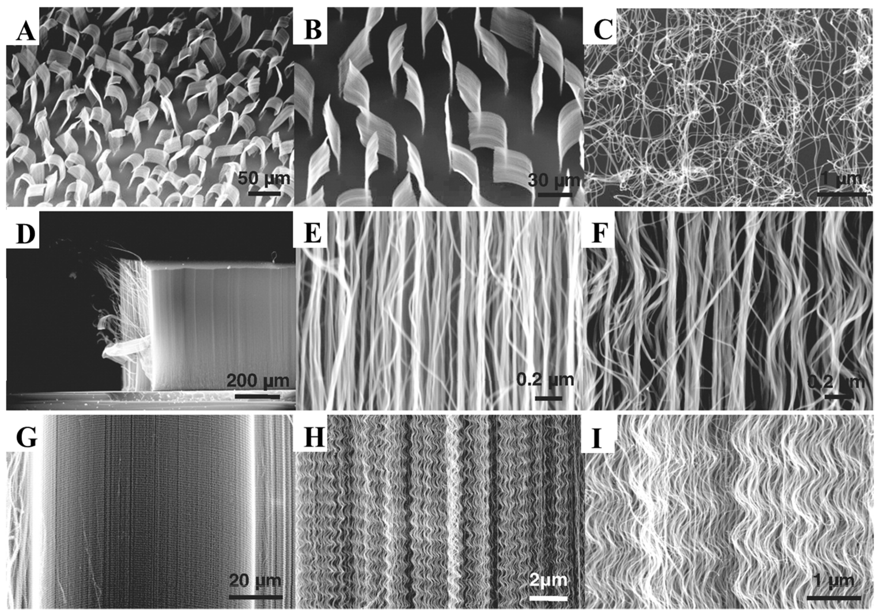 Biosensors 12 00572 g006 550