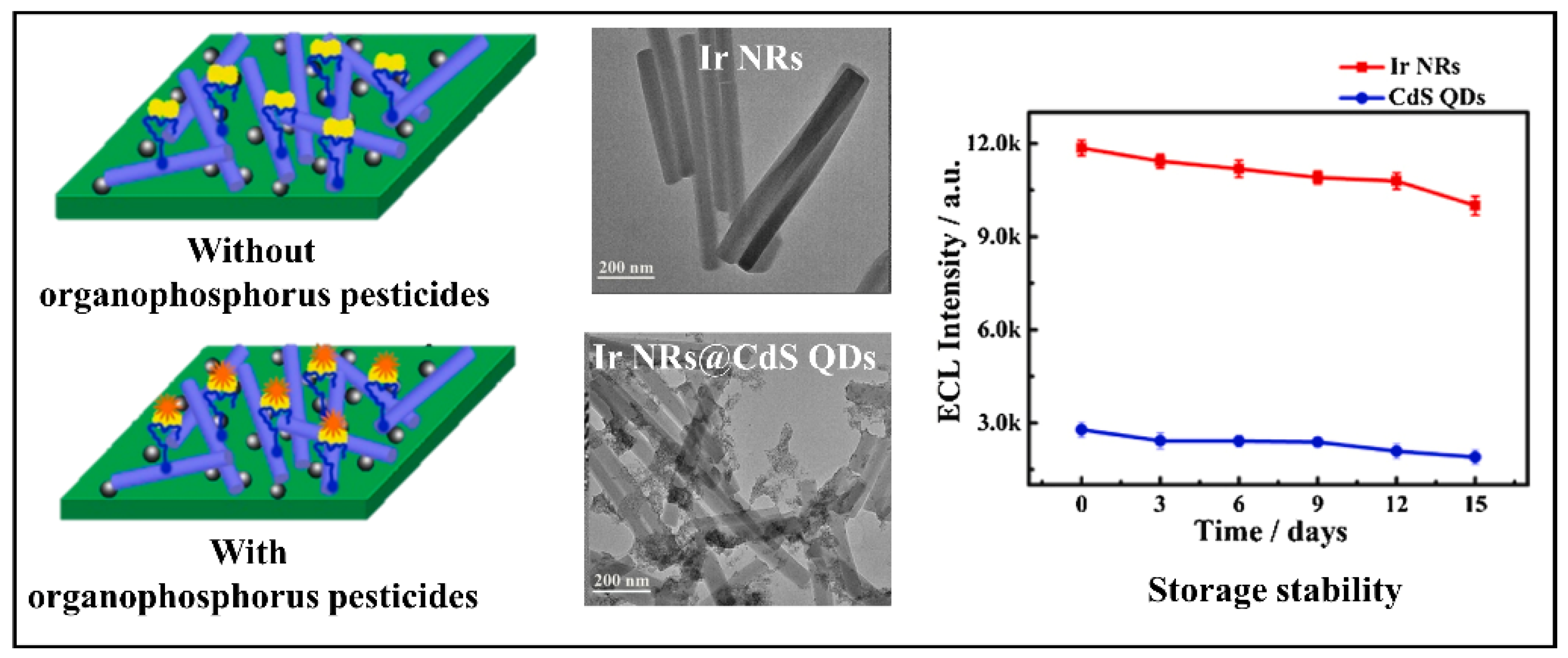 Biosensors 12 00572 g008 550