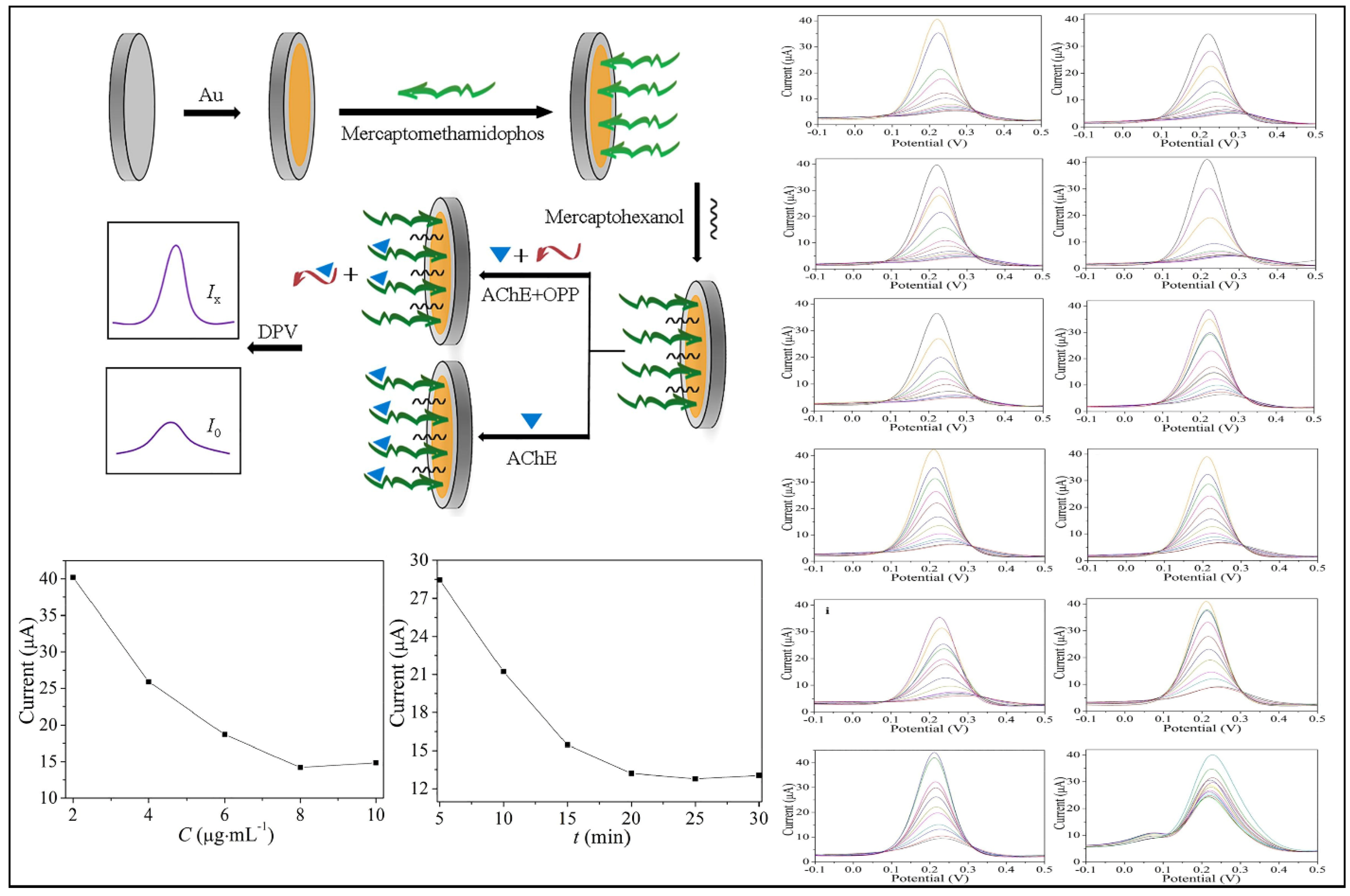 Biosensors 12 00572 g012 550