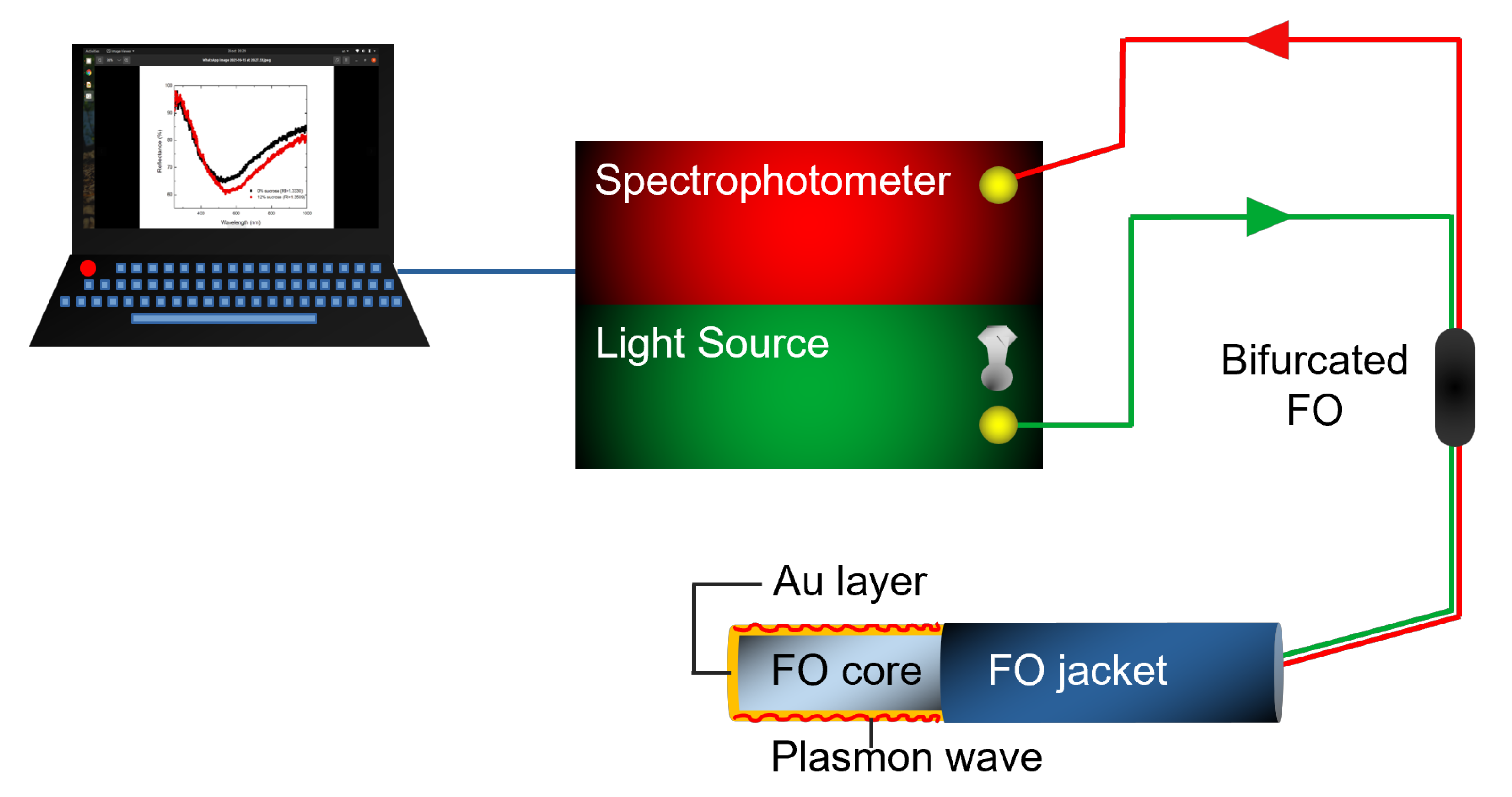 Biosensors 12 00573 g001