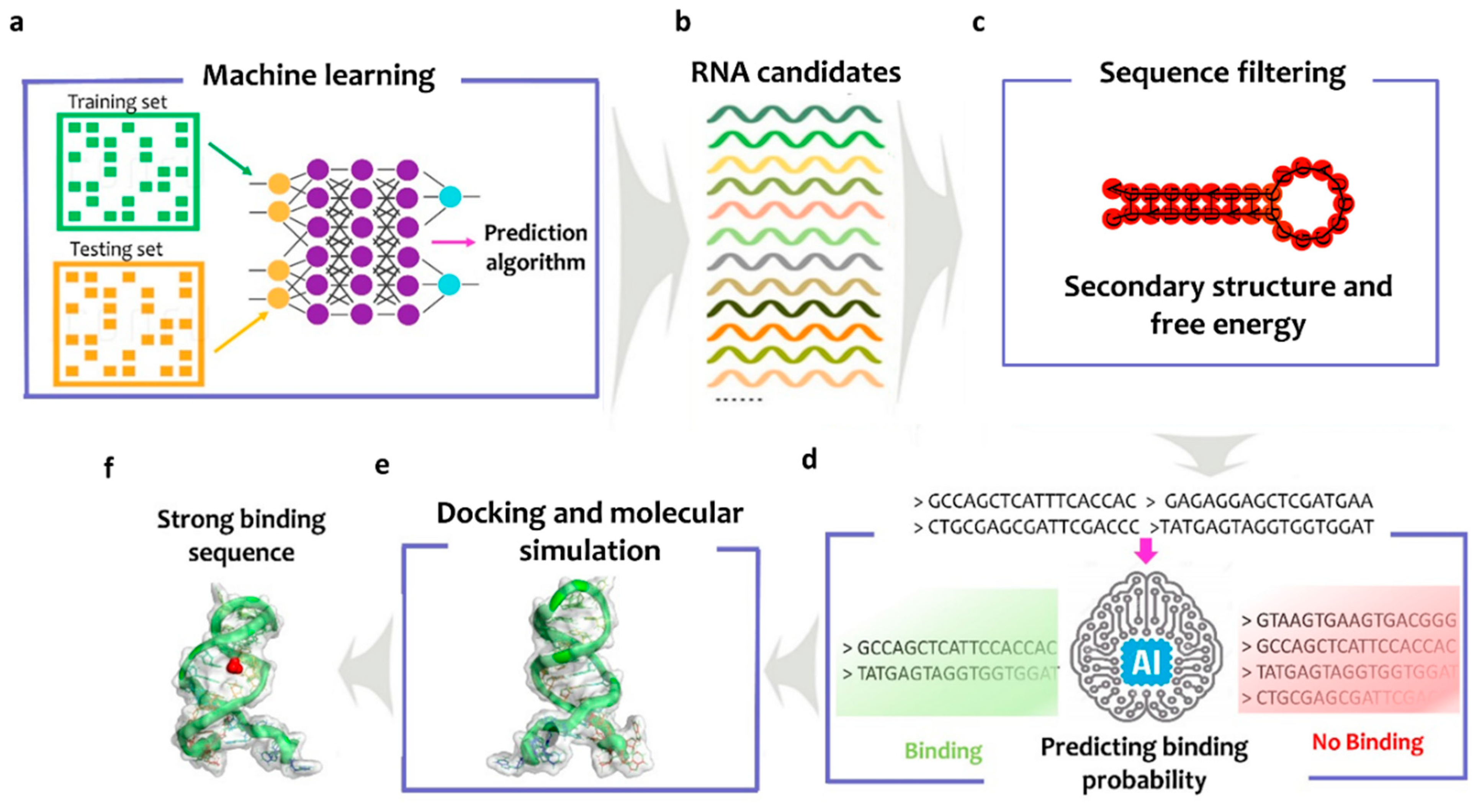 Biosensors 12 00574 g001
