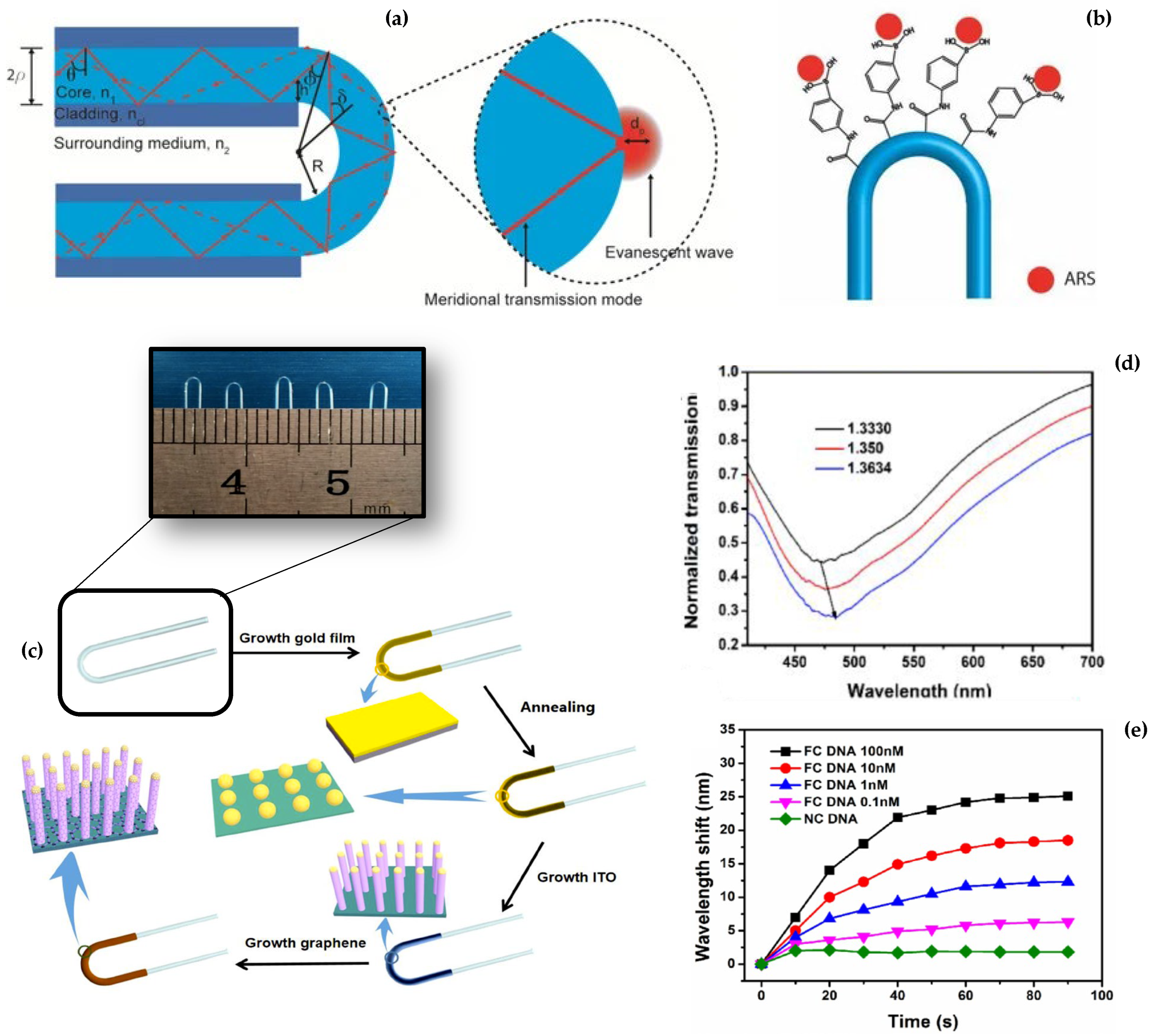 Biosensors 12 00575 g003 550