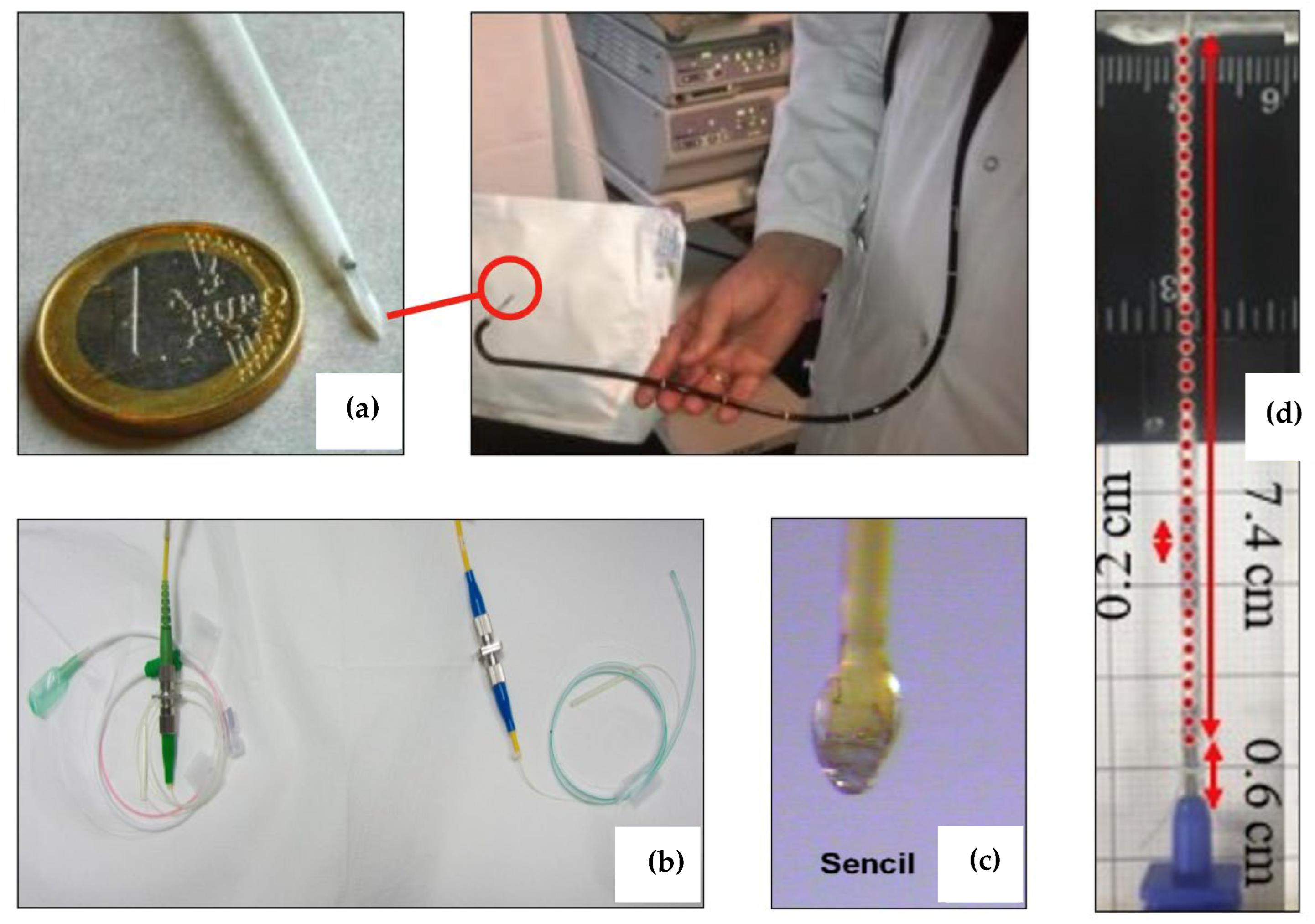 Biosensors 12 00575 g010 550