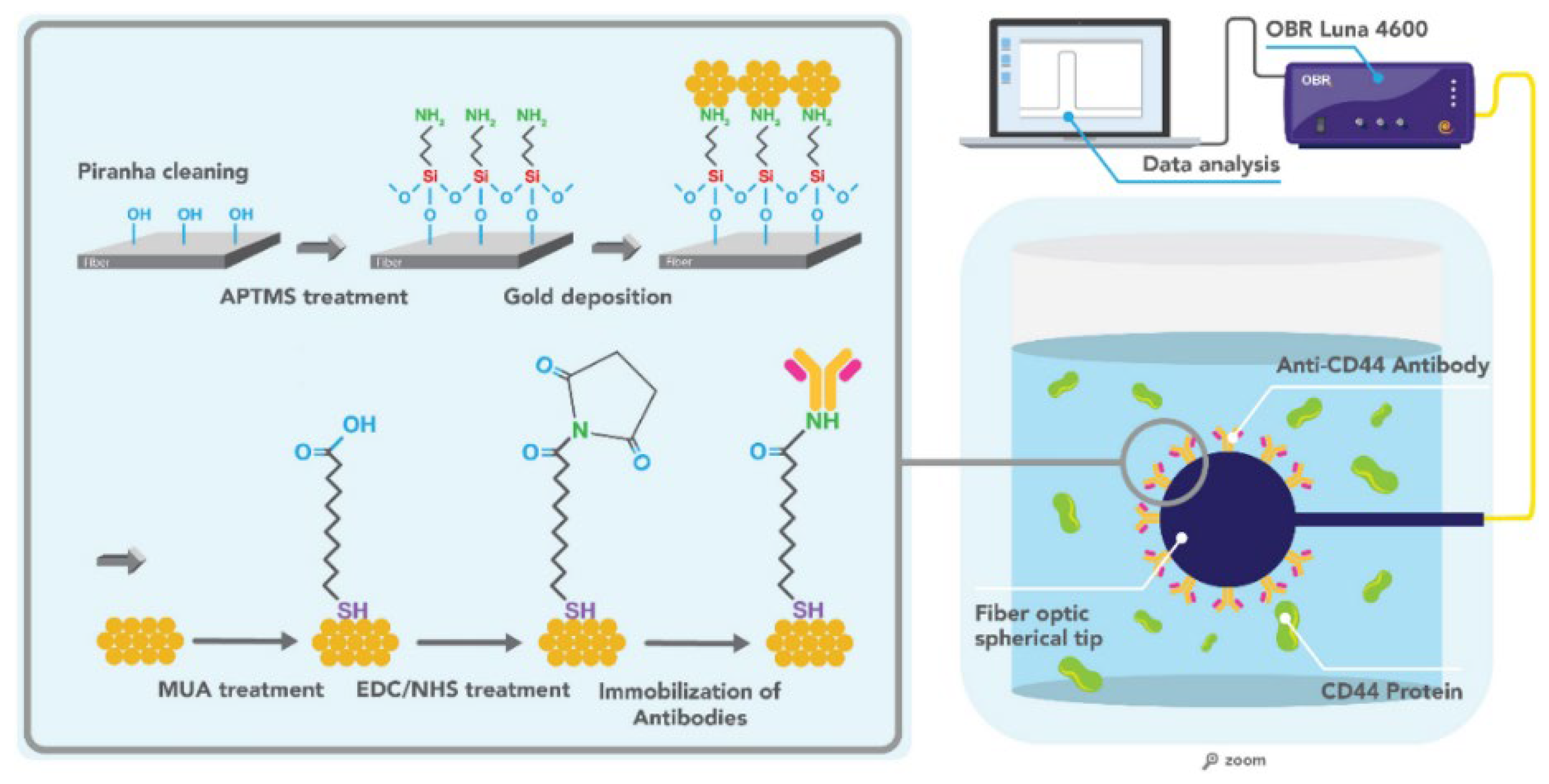 Biosensors 12 00575 g013 550