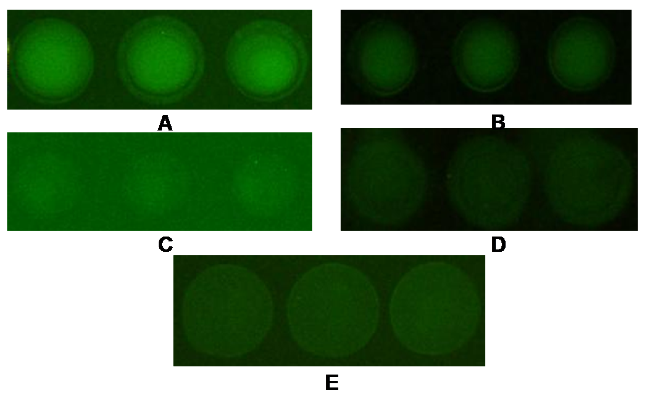 Biosensors 12 00578 g002 550
