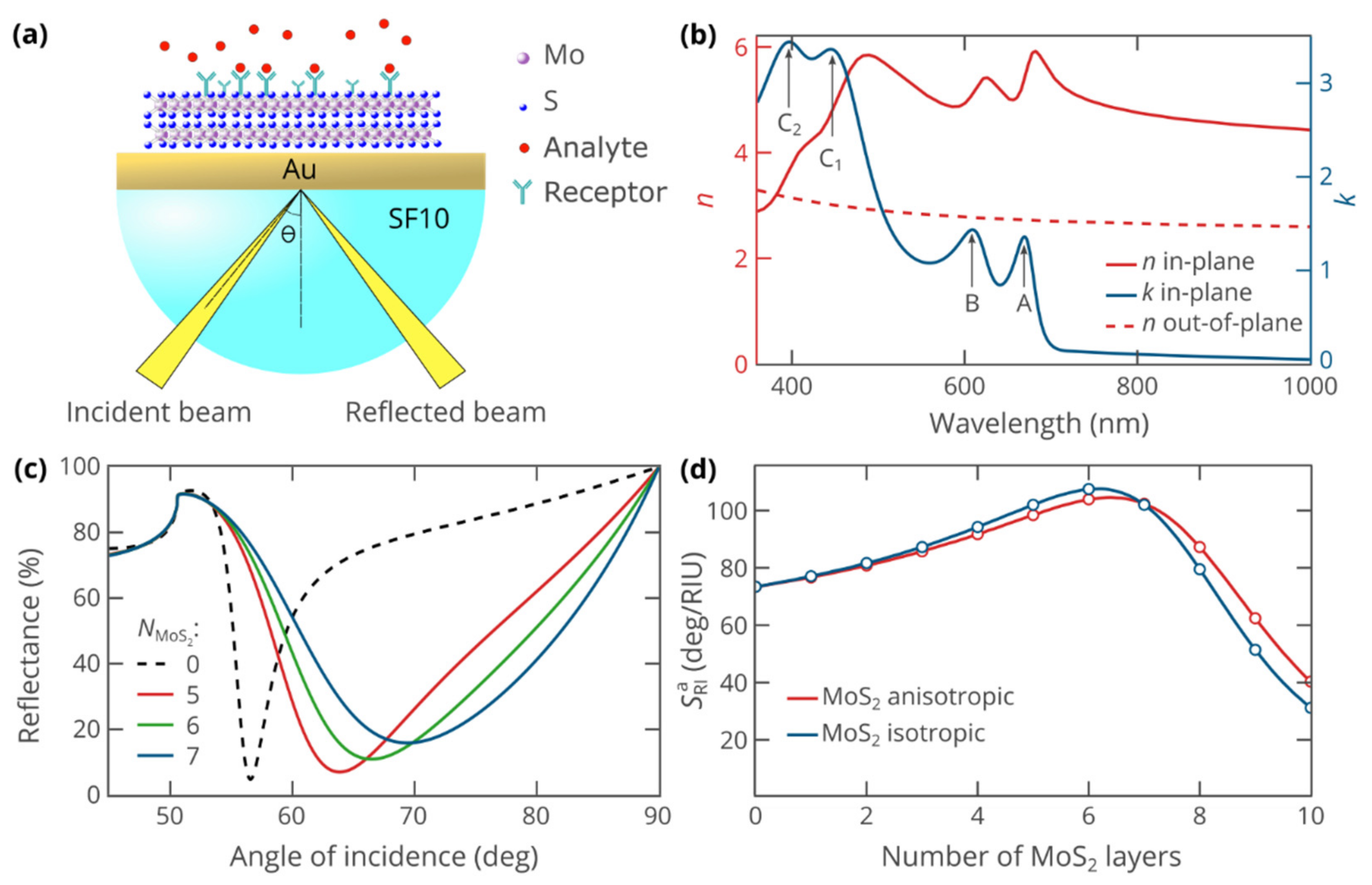 Biosensors 12 00582 g001 550