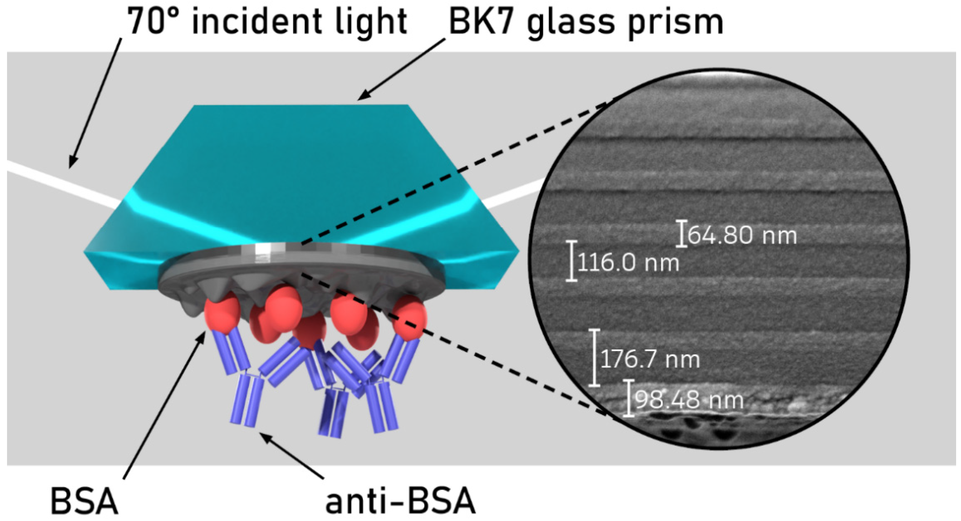 Biosensors 12 00584 g001