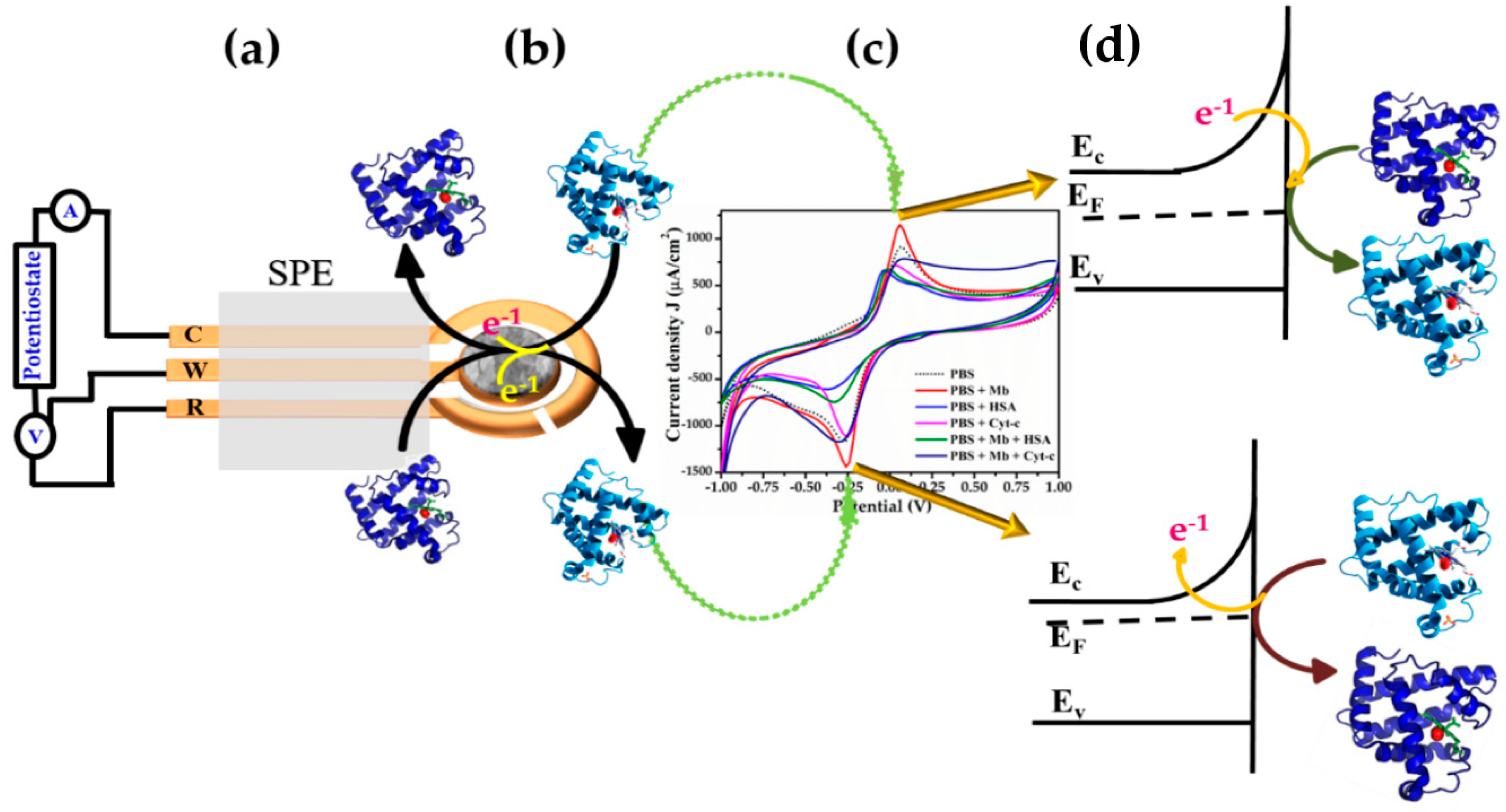 Biosensors 12 00585 g008 550