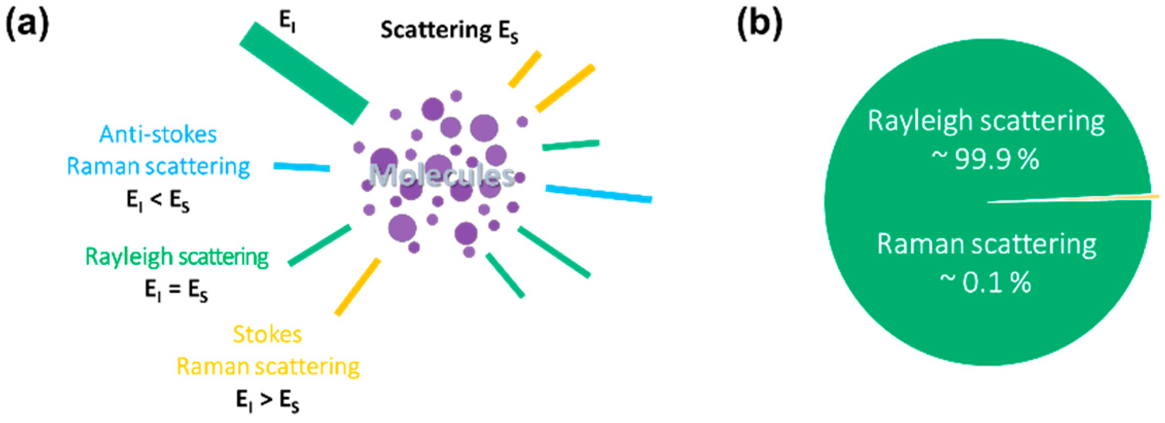 Biosensors 12 00590 g001 550