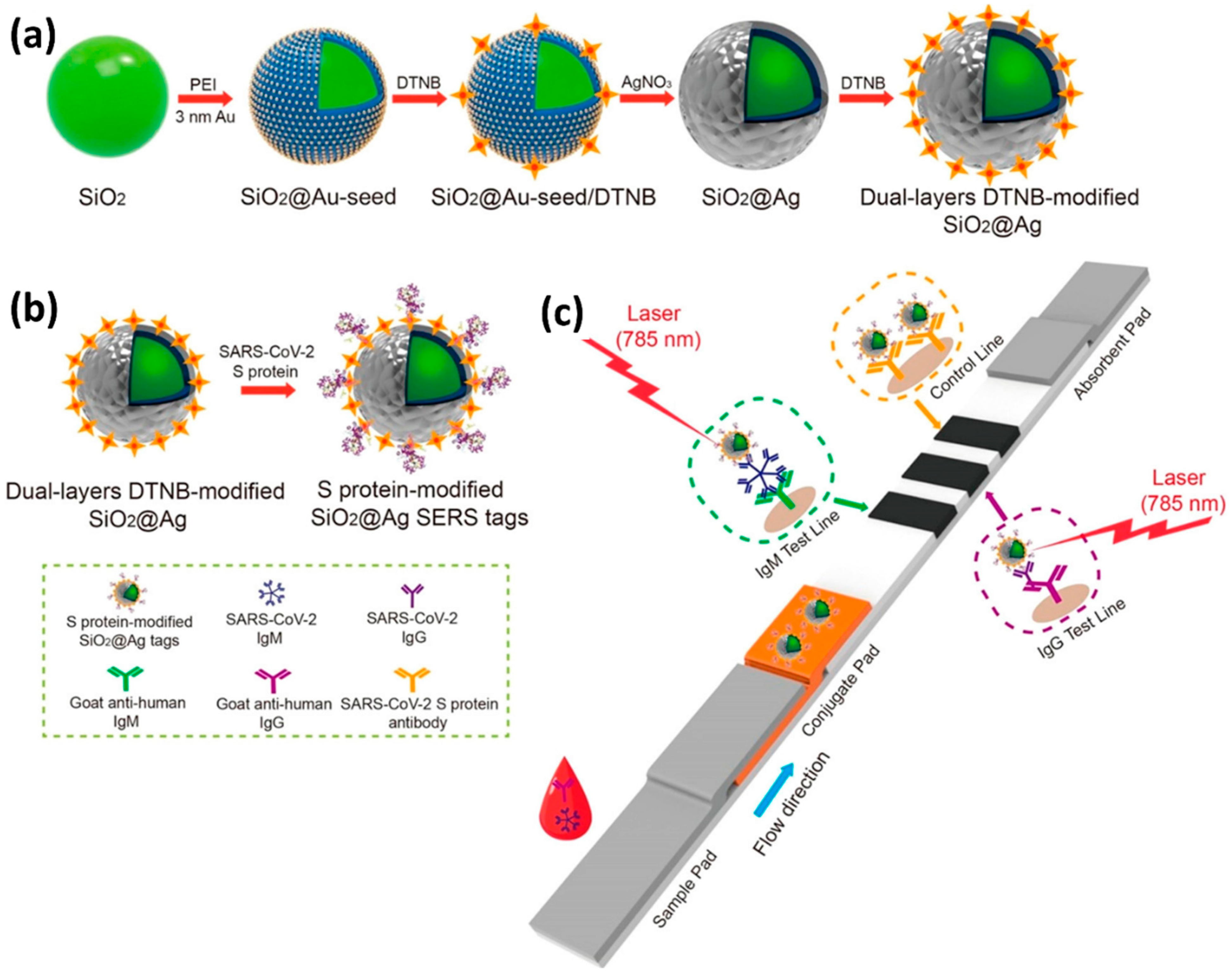 Biosensors 12 00590 g009 550