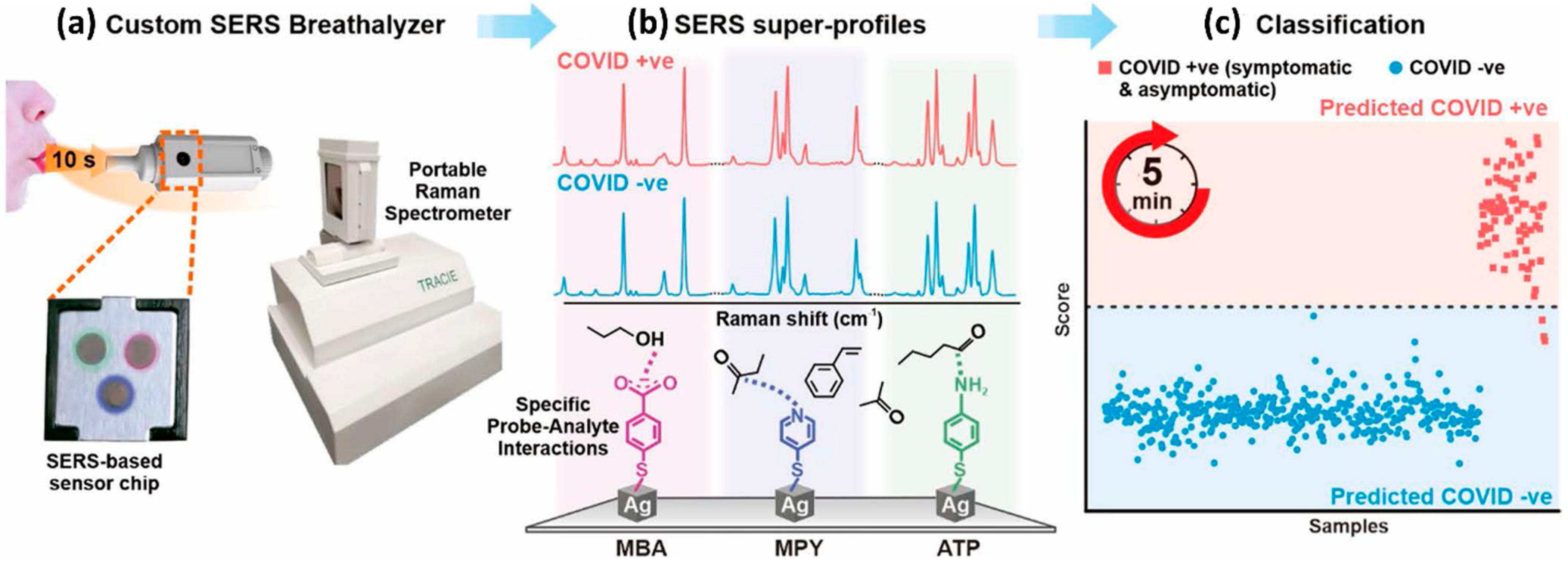 Biosensors 12 00590 g010 550