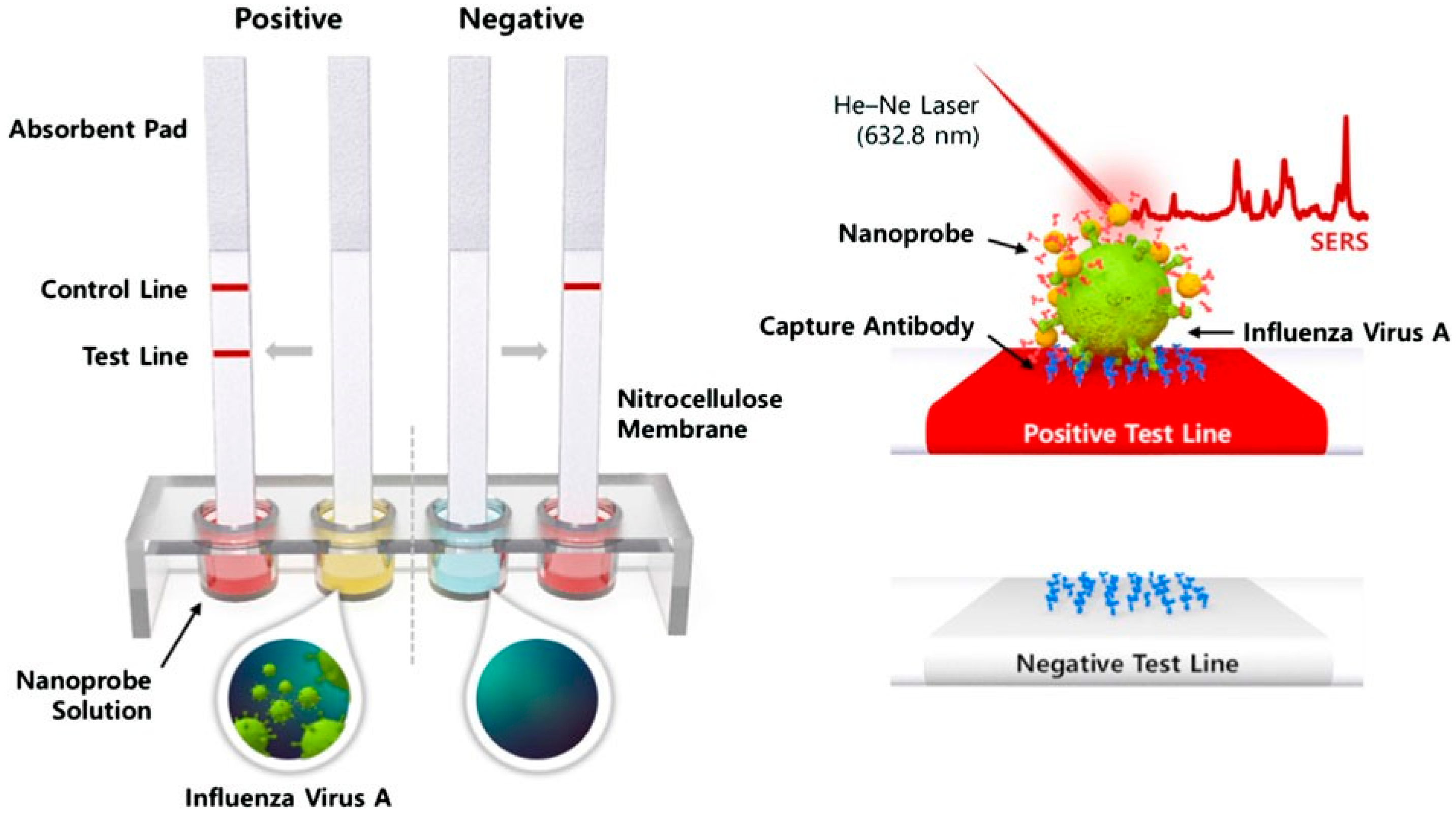Biosensors 12 00590 g011 550