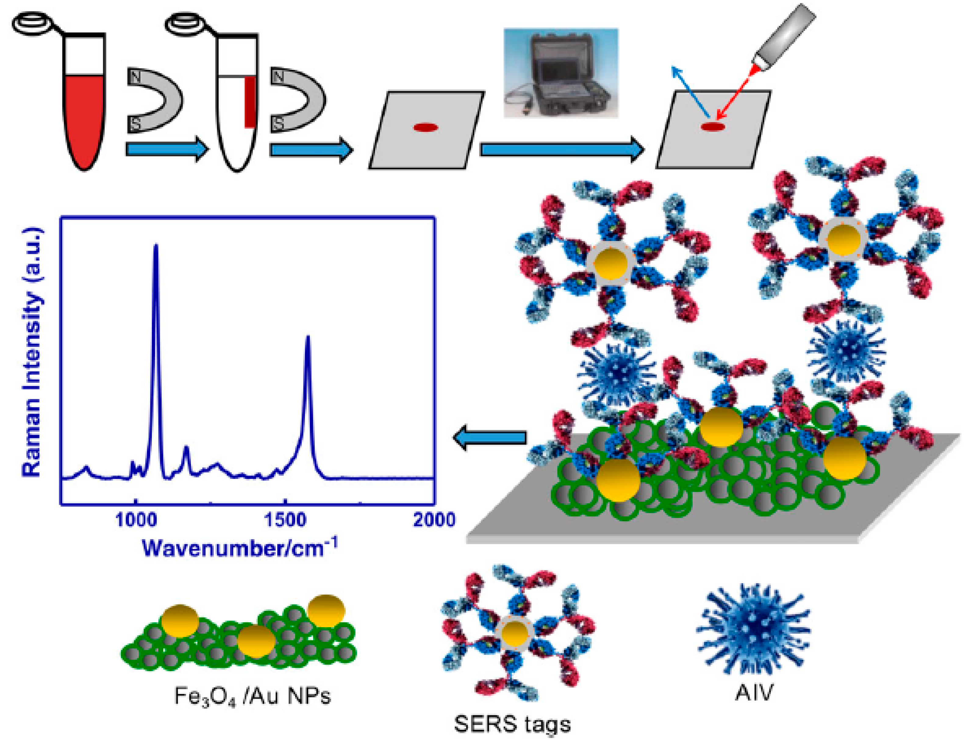 Biosensors 12 00590 g012 550