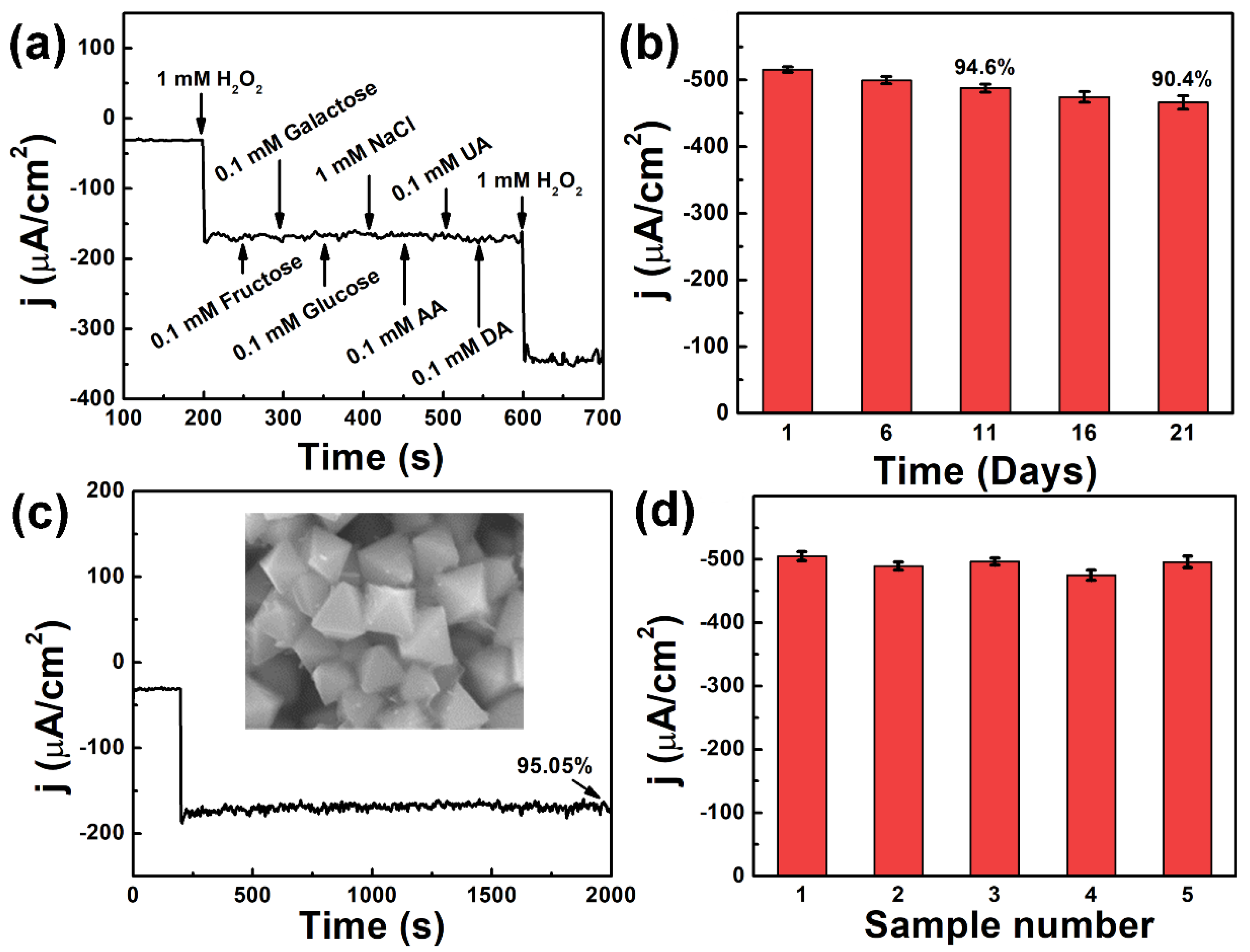 Biosensors 12 00592 g006
