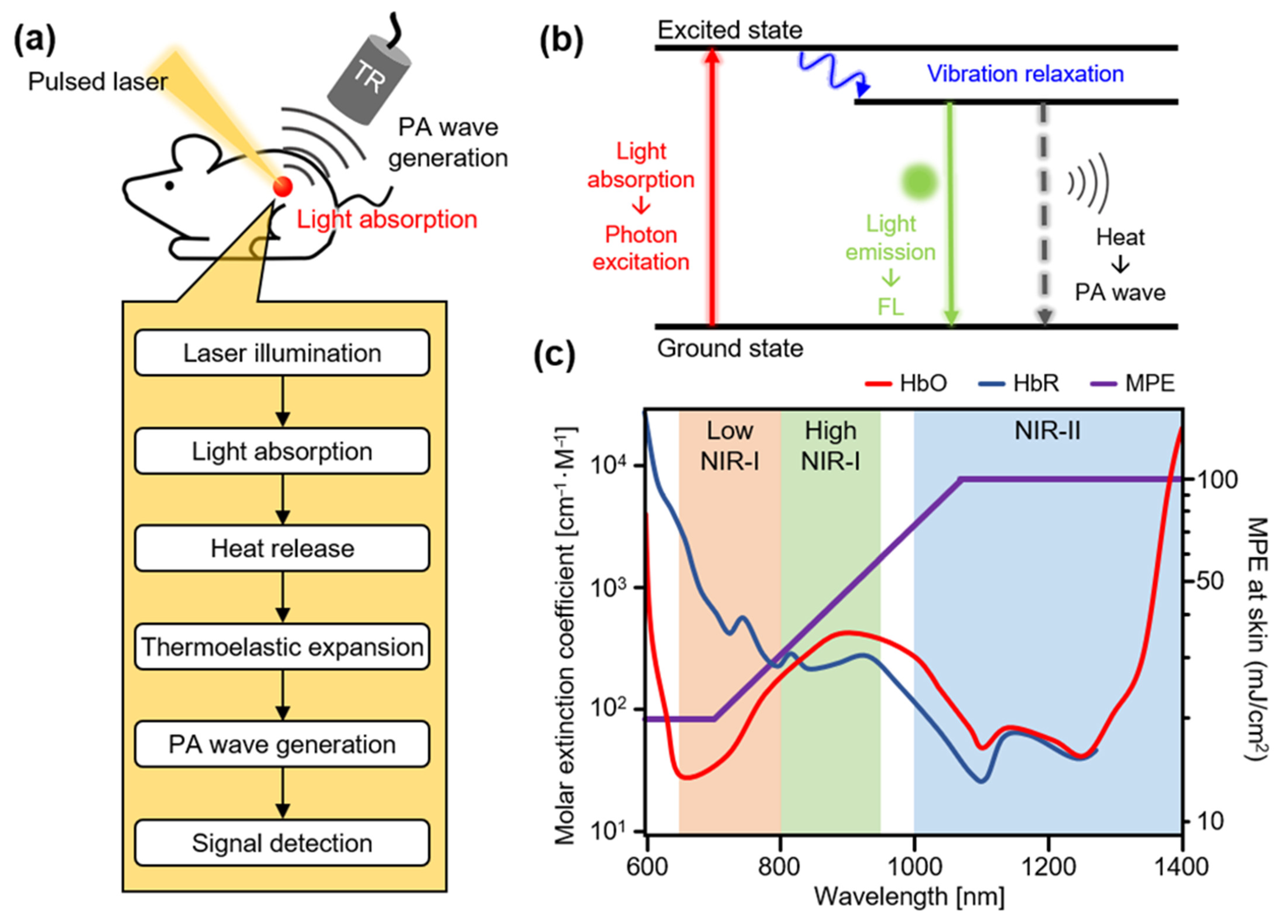 Biosensors 12 00594 g001 550
