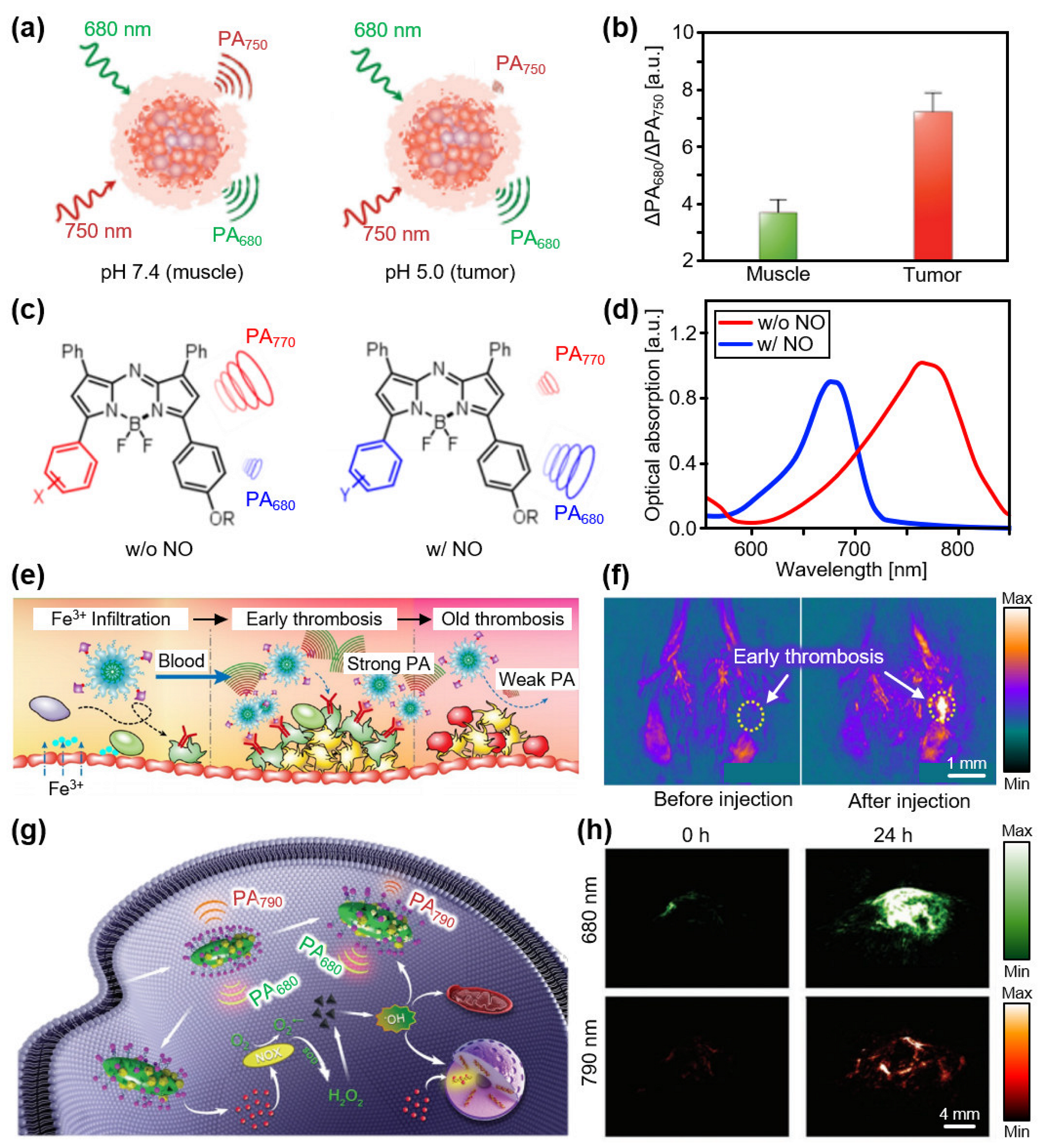 Biosensors 12 00594 g002 550