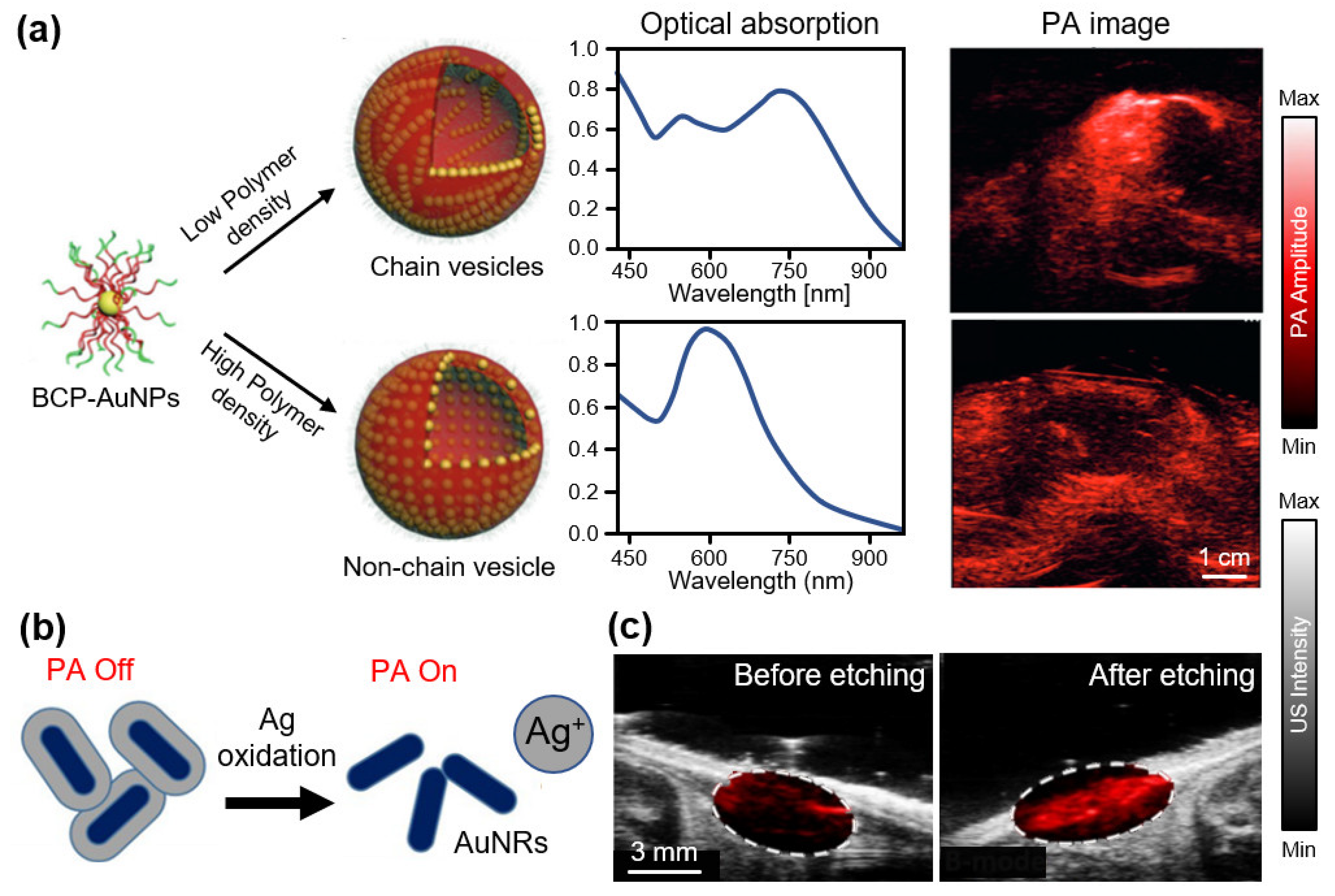 Biosensors 12 00594 g003 550