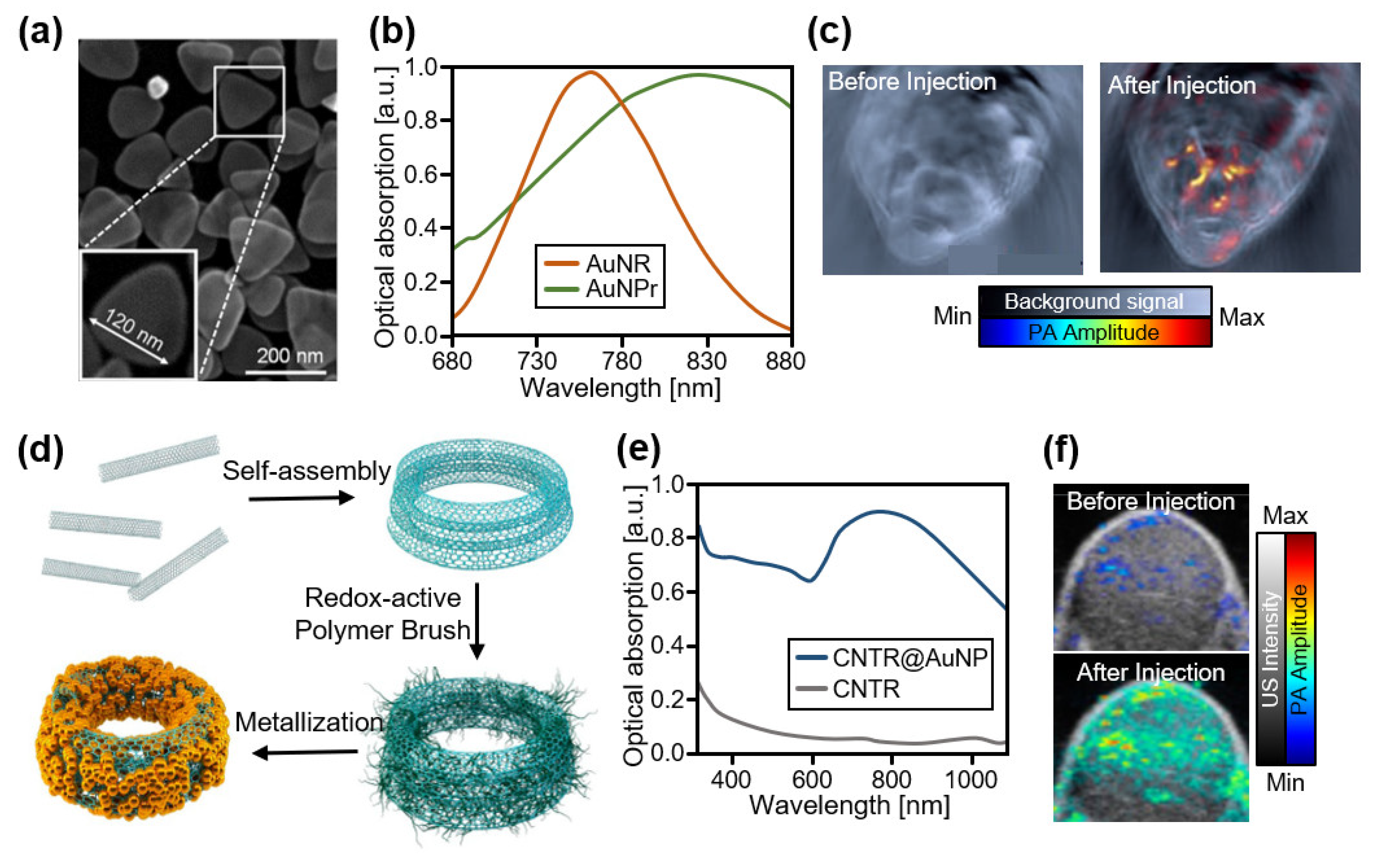 Biosensors 12 00594 g005 550