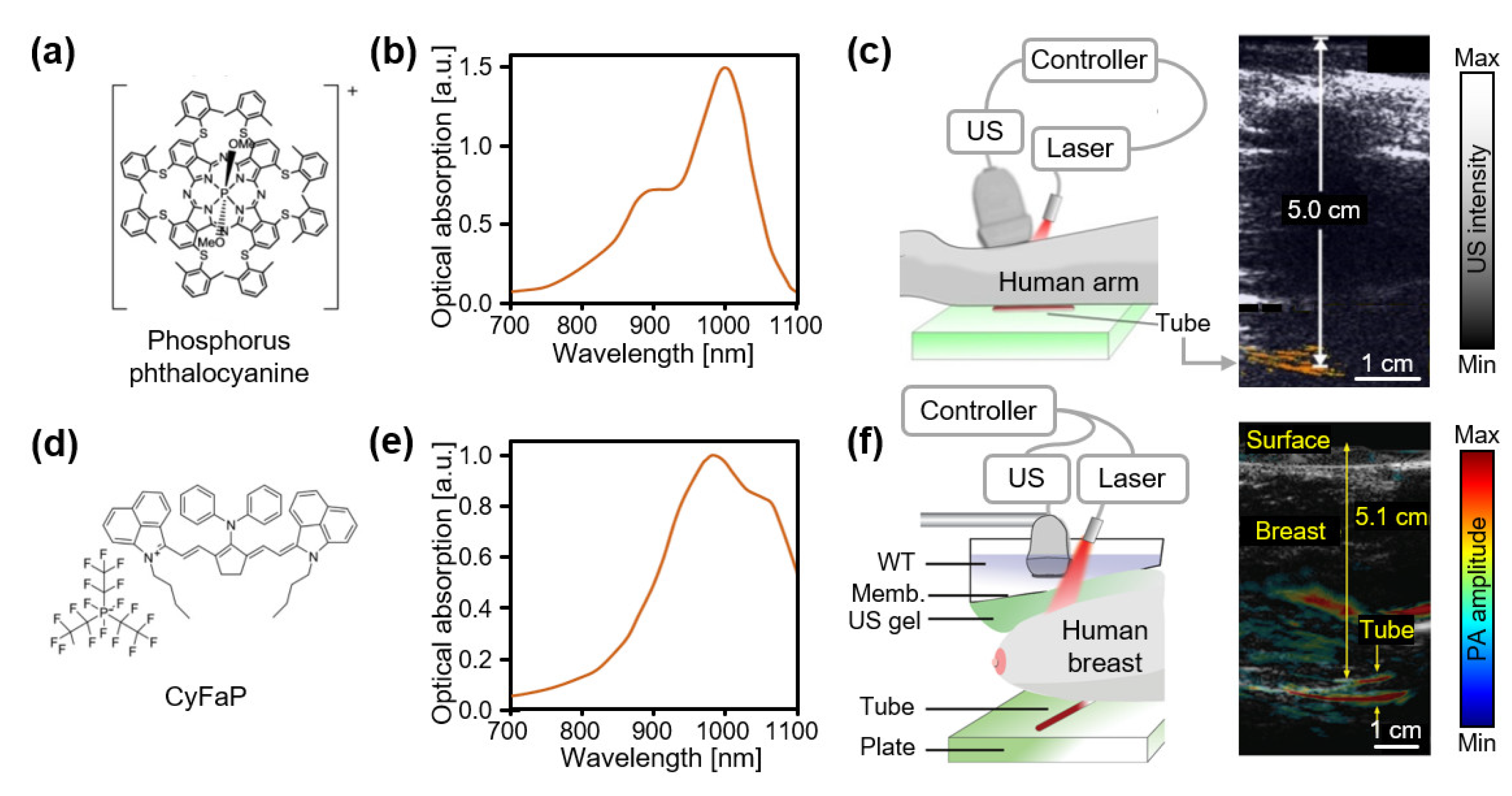 Biosensors 12 00594 g007 550