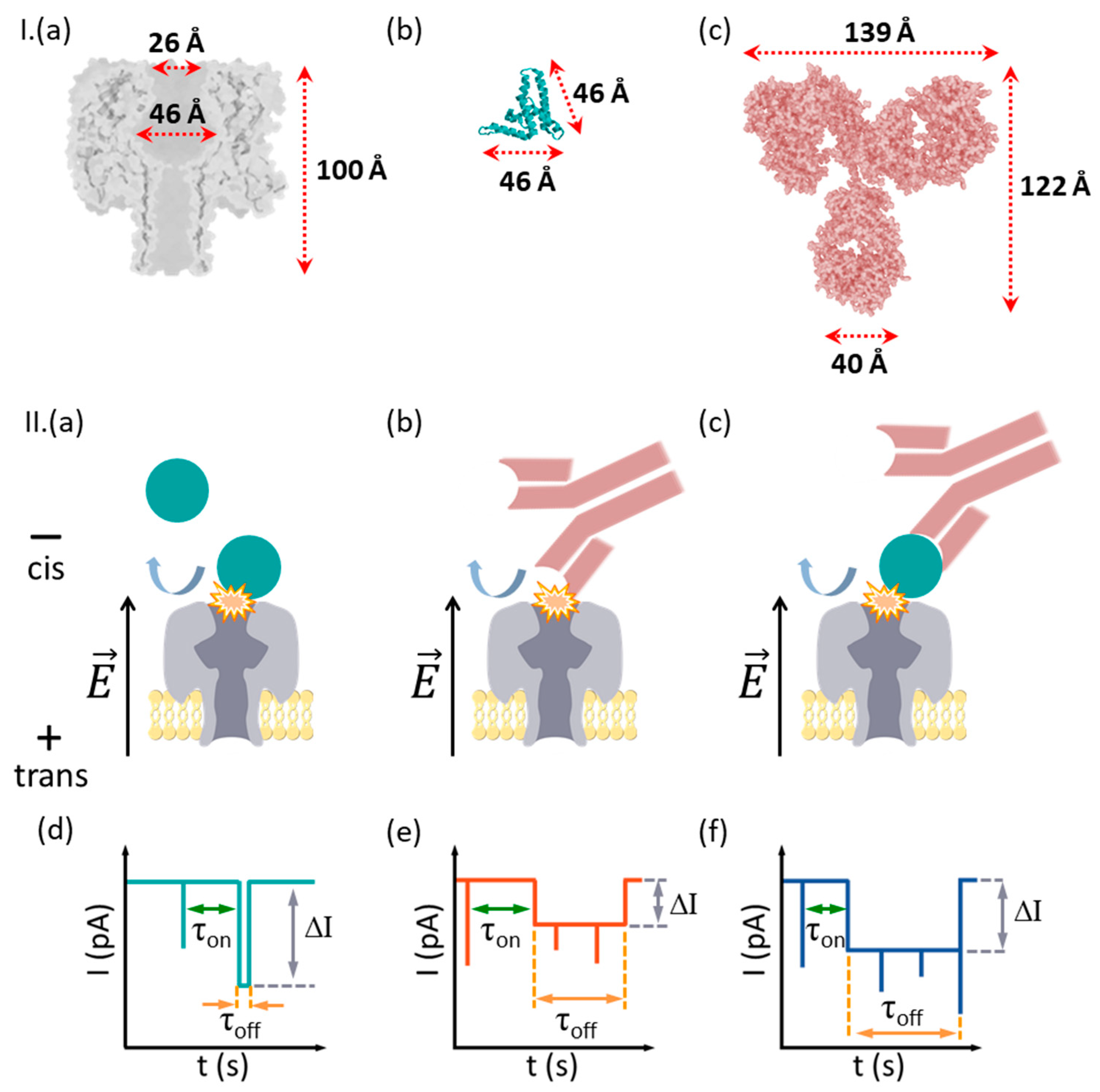 Biosensors 12 00596 g001