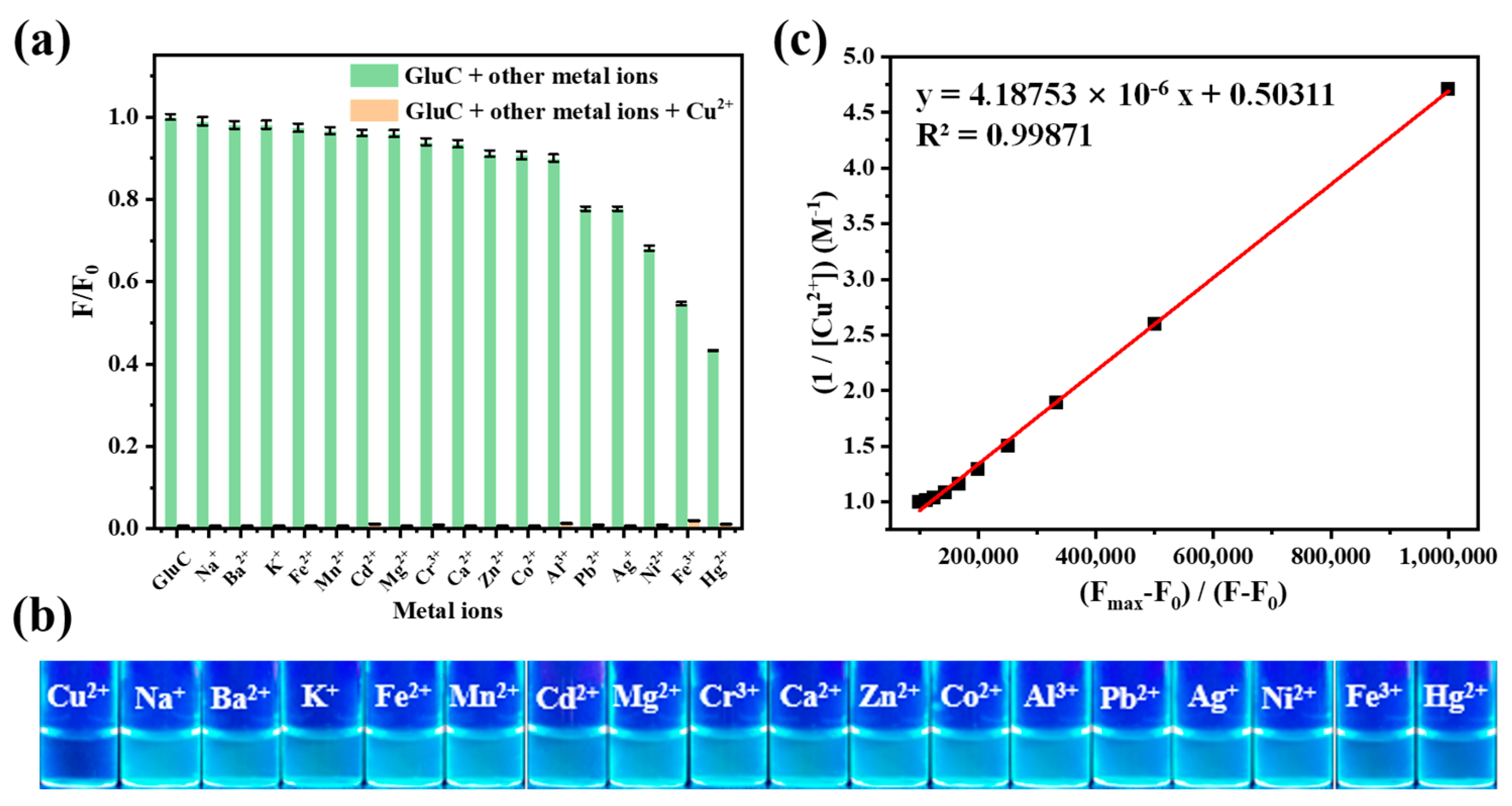 Biosensors 12 00600 g001