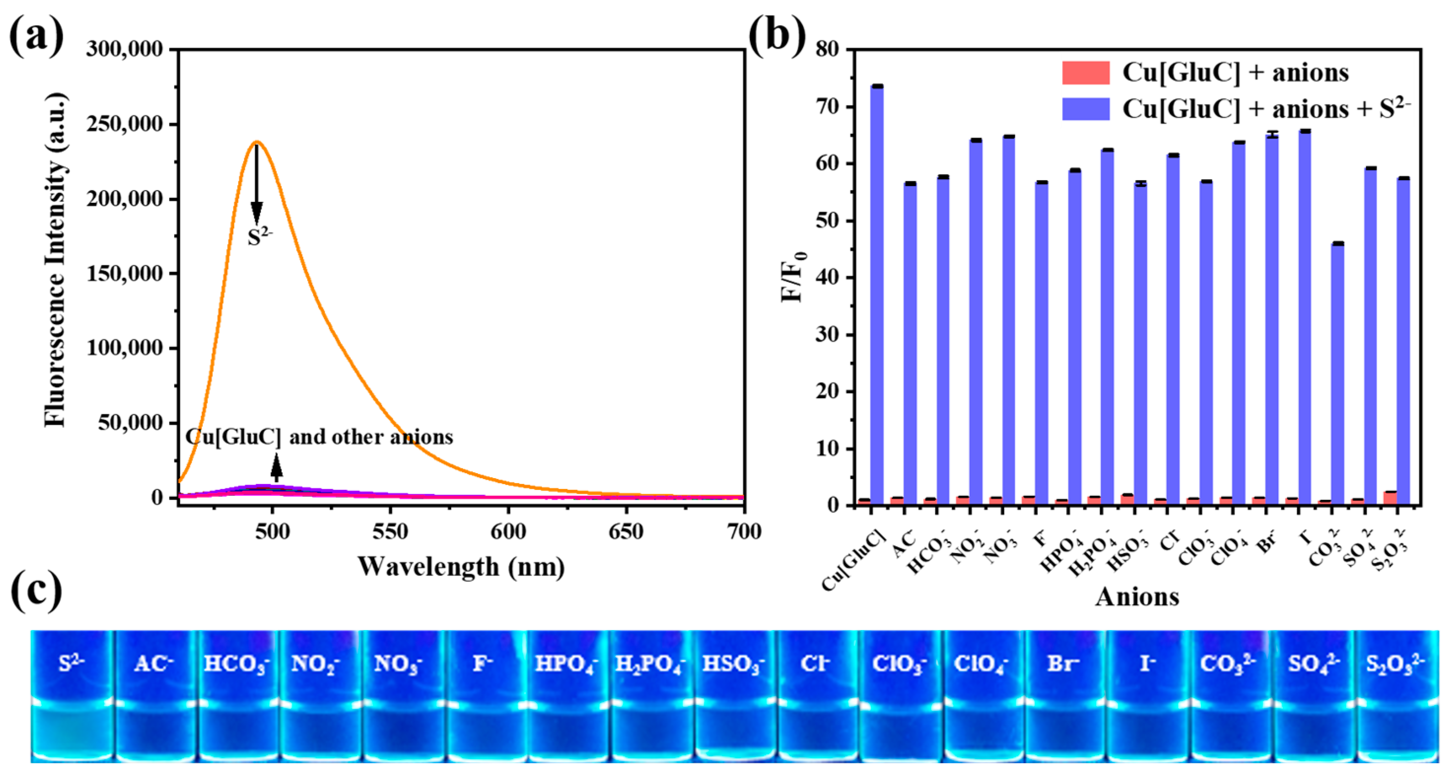 Biosensors 12 00600 g003