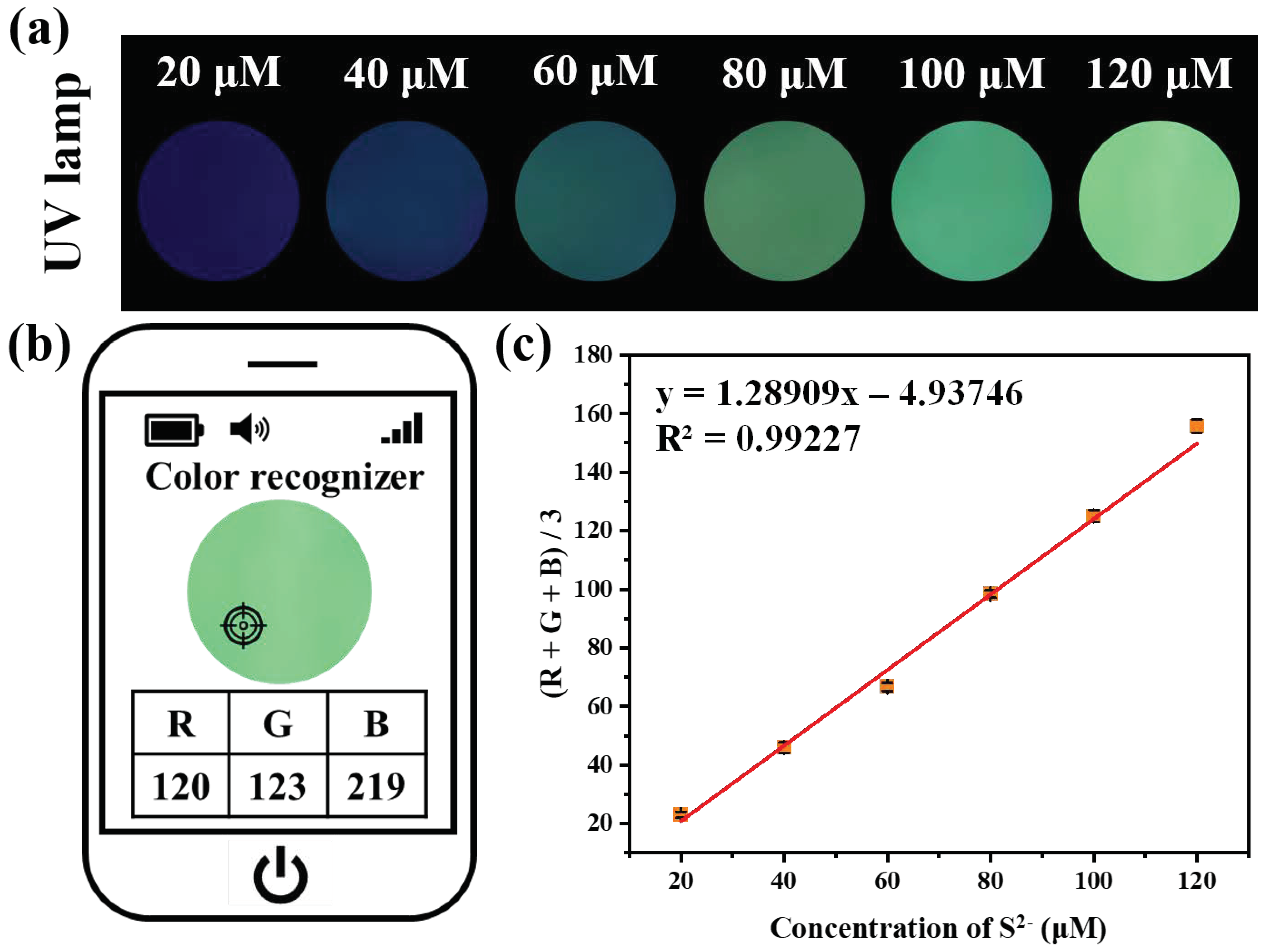 Biosensors 12 00600 g004