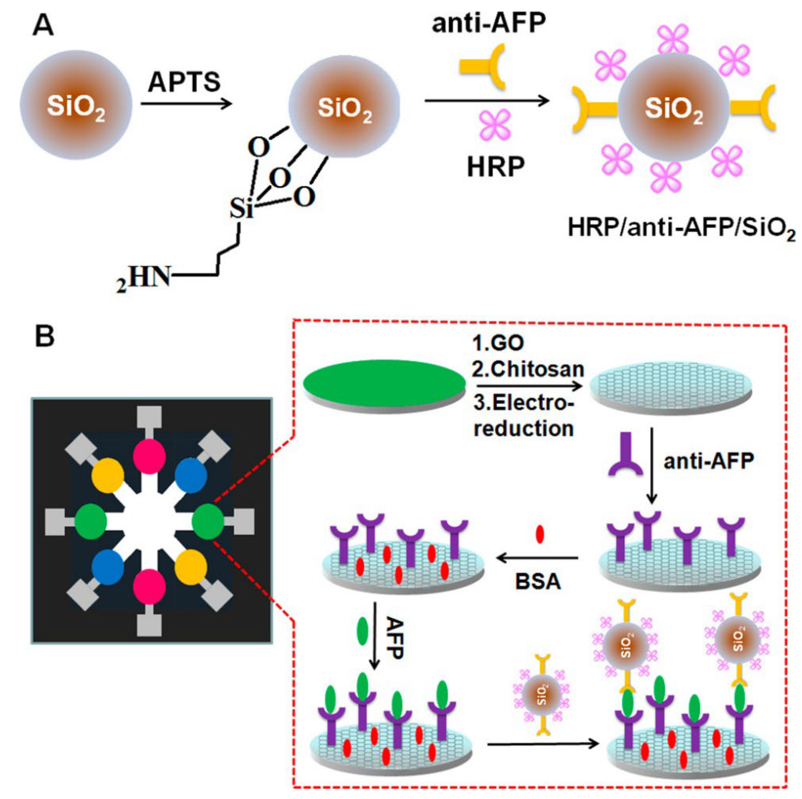 Biosensors 12 00607 g006