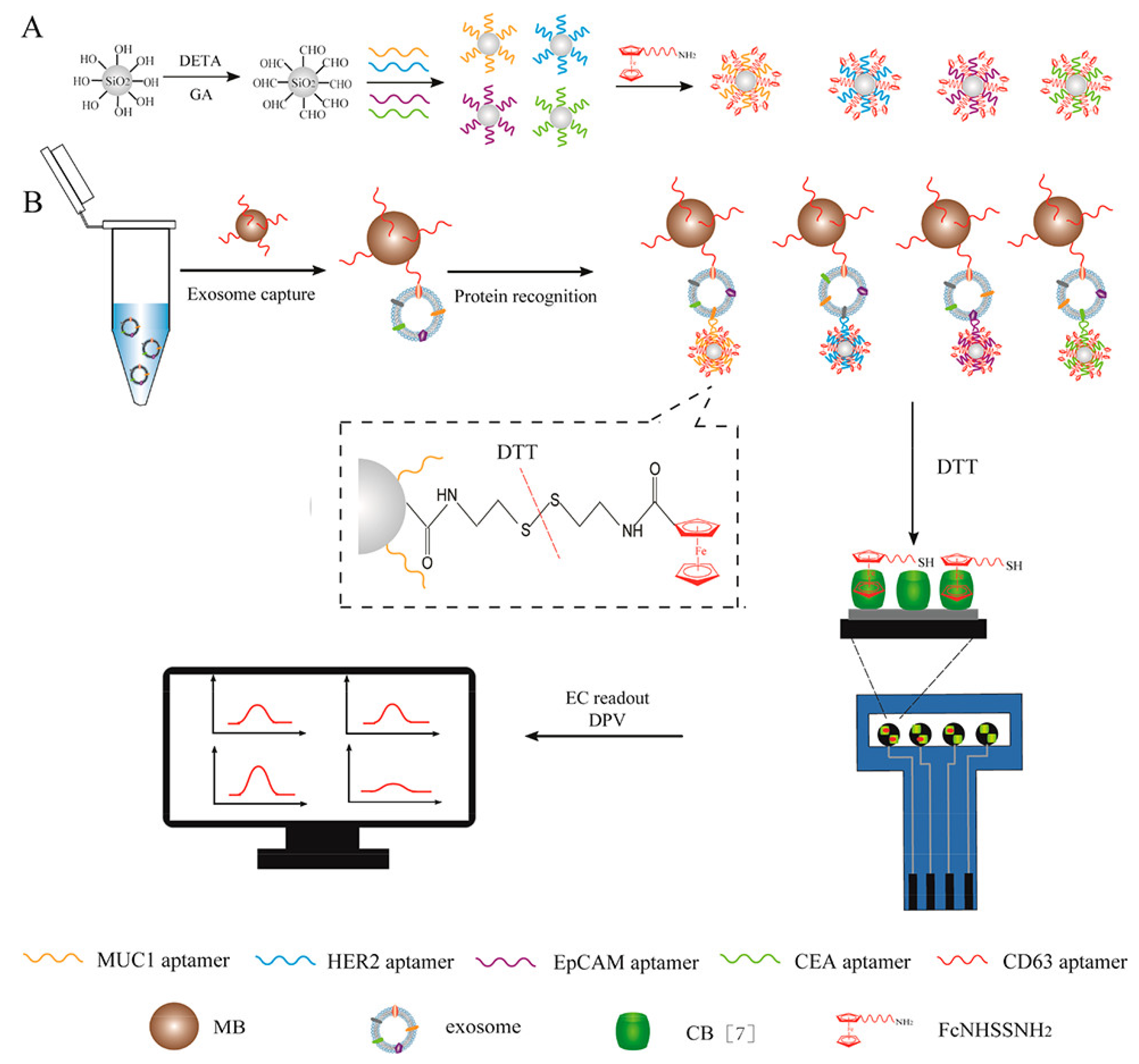 Biosensors 12 00607 g013
