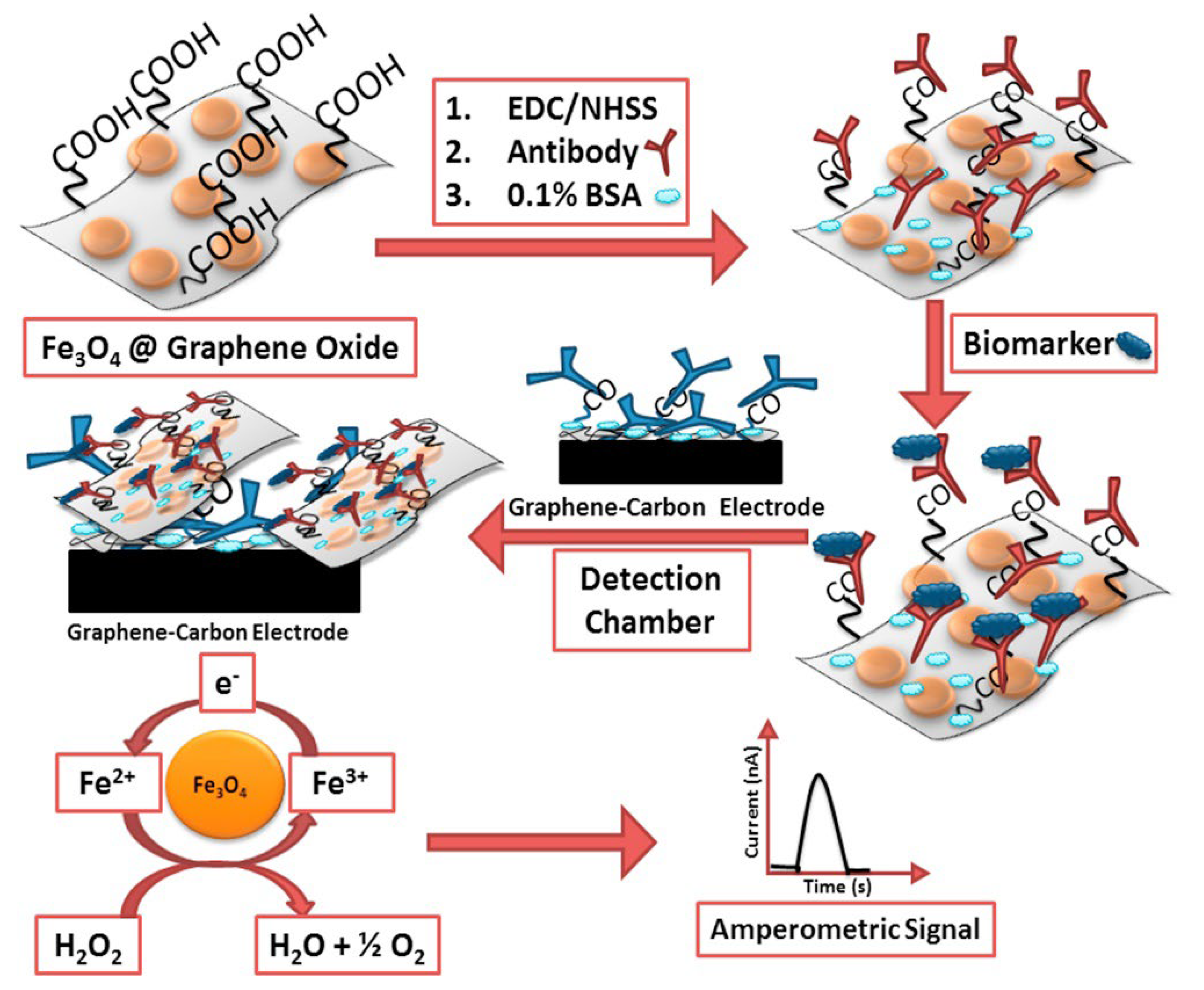 Biosensors 12 00607 g015