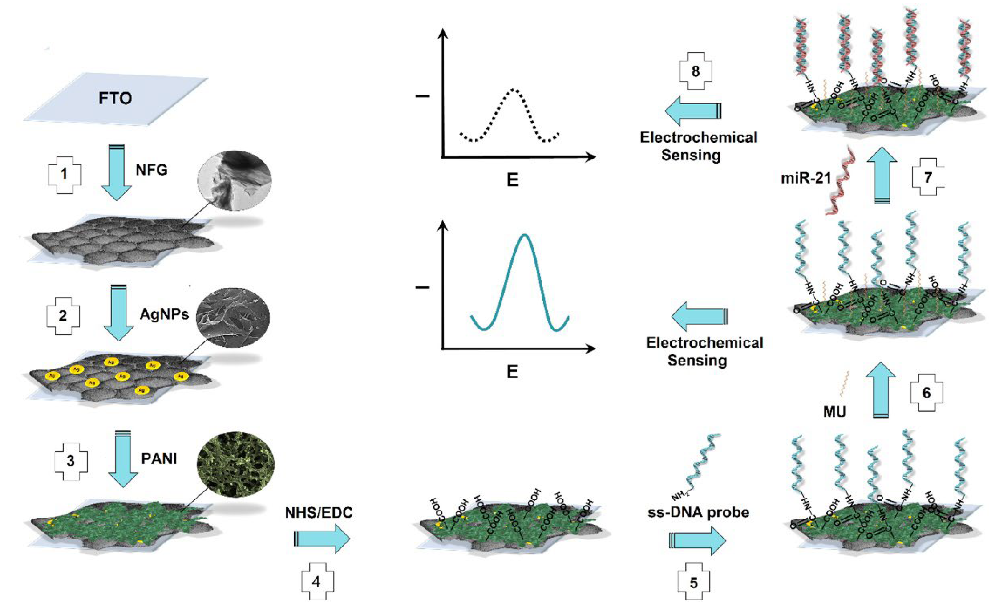 Biosensors 12 00607 g017