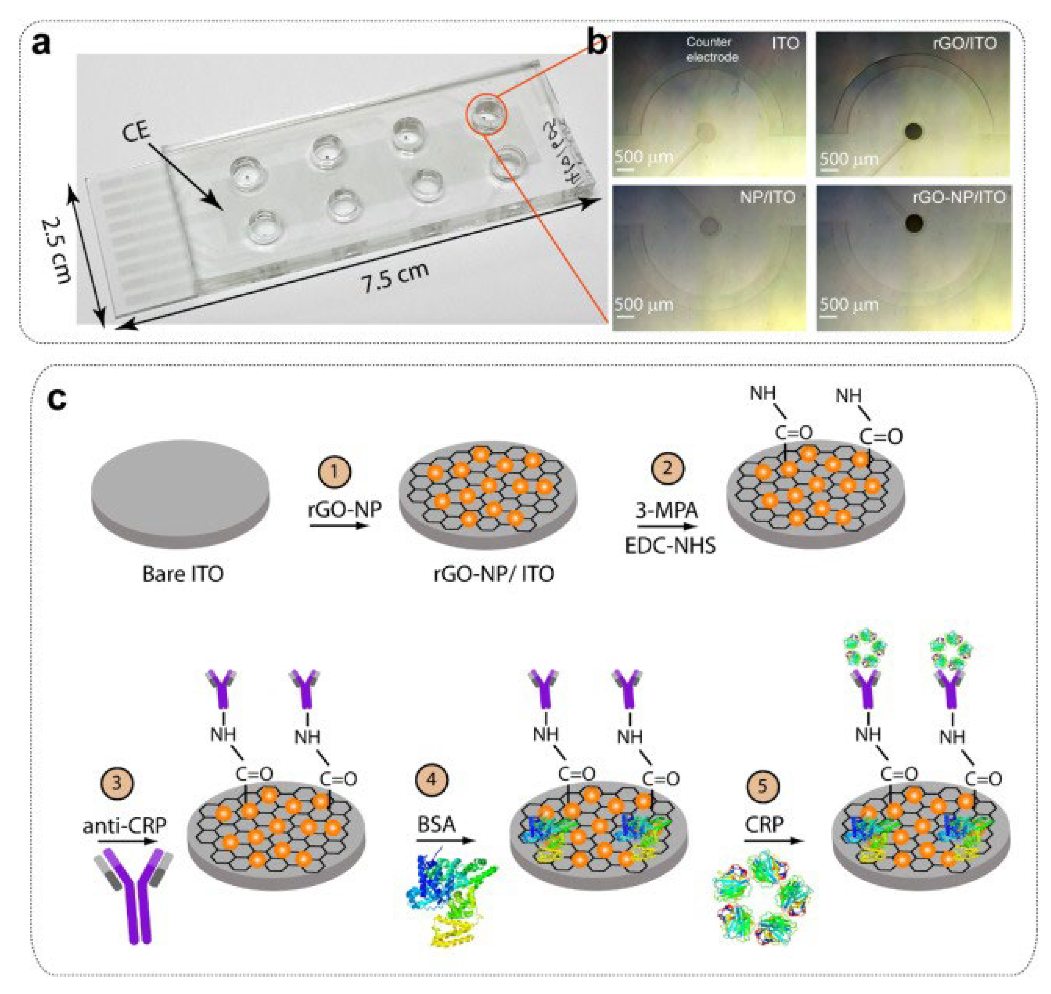 Biosensors 12 00607 g018