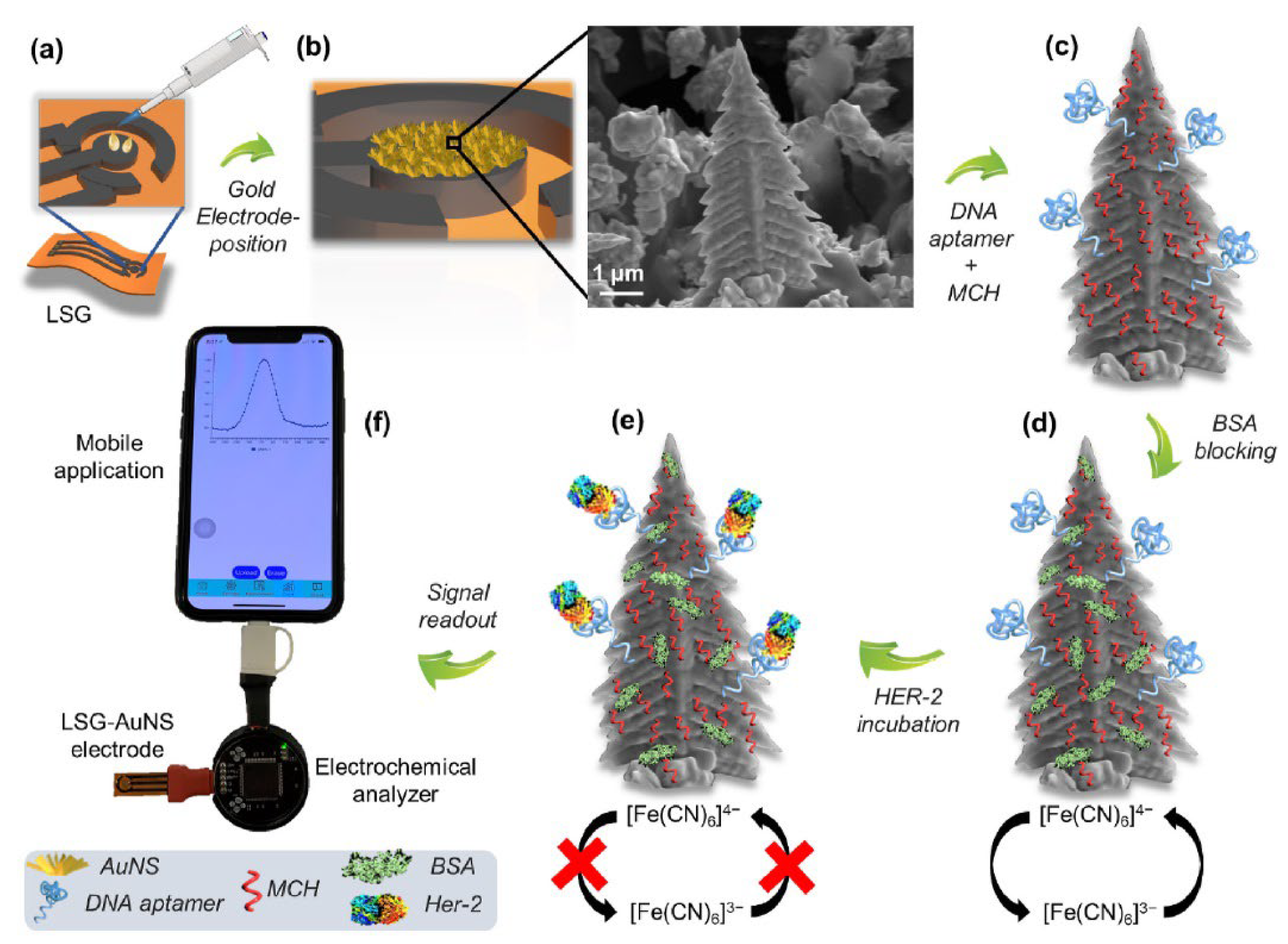 Biosensors 12 00607 g019