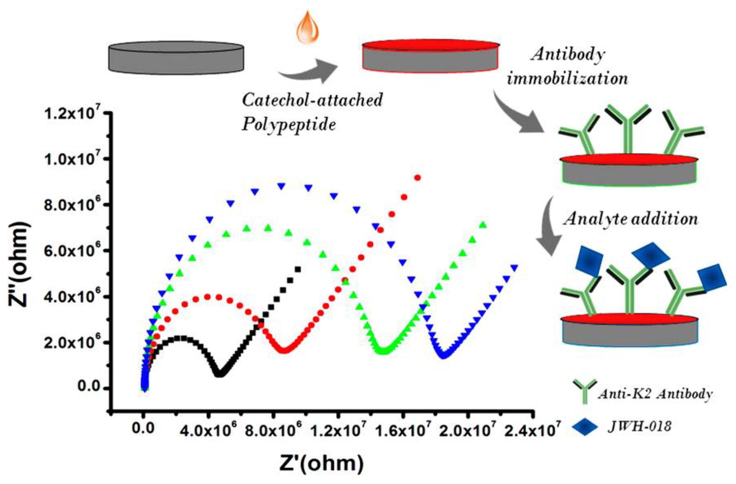 Biosensors 12 00608 g002